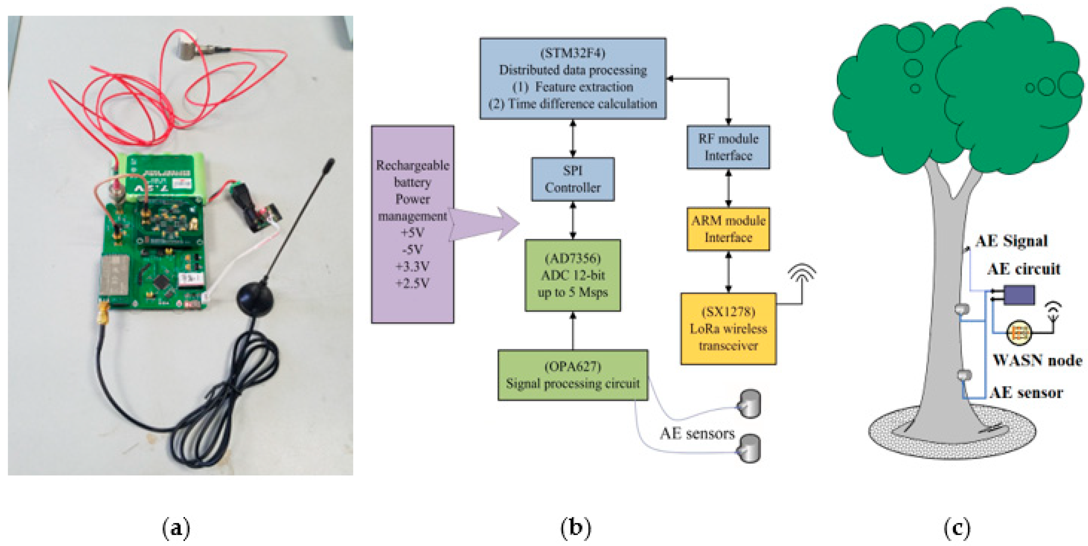 Plants 12 00601 g002