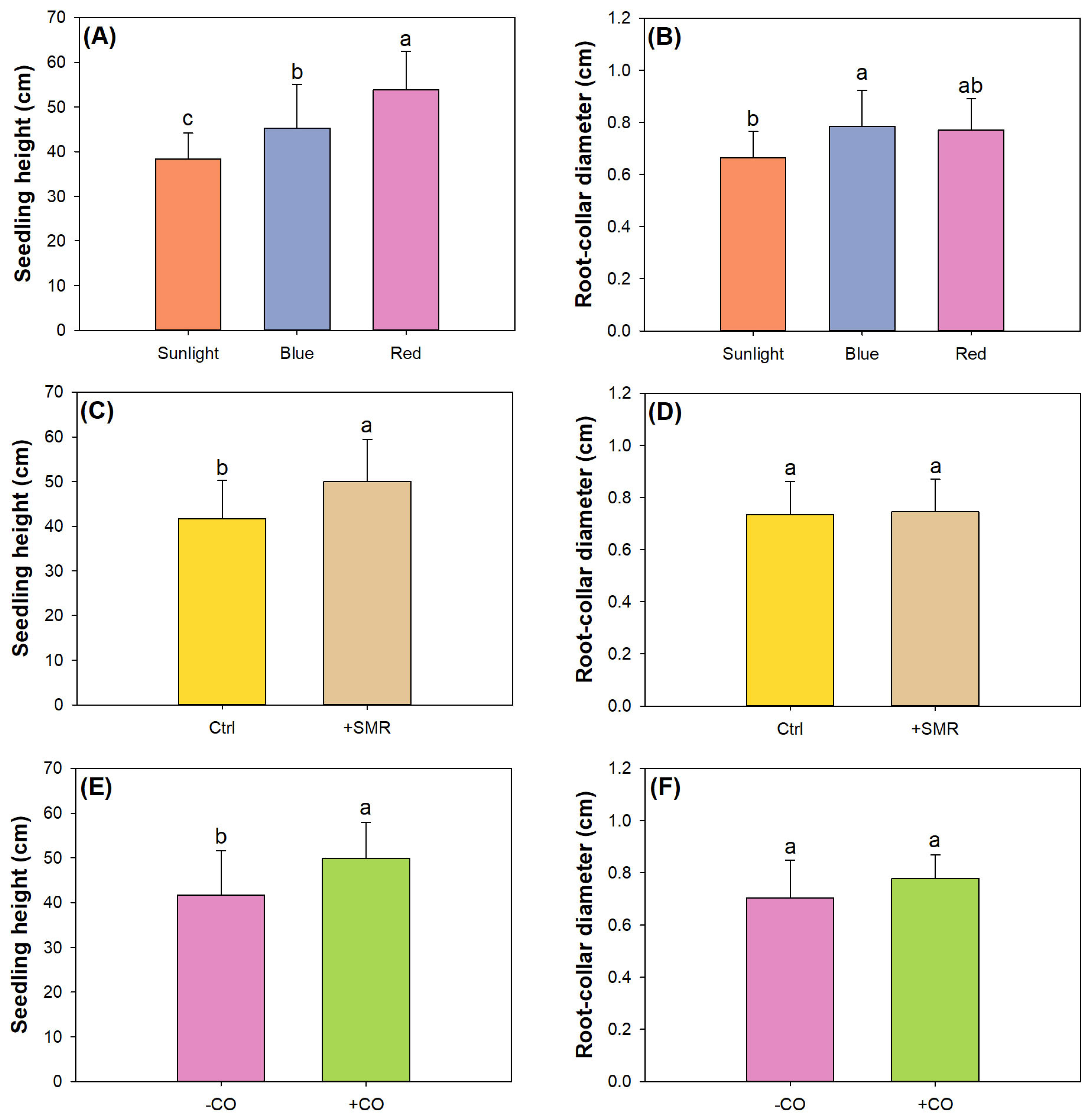 Plants 12 00604 g001