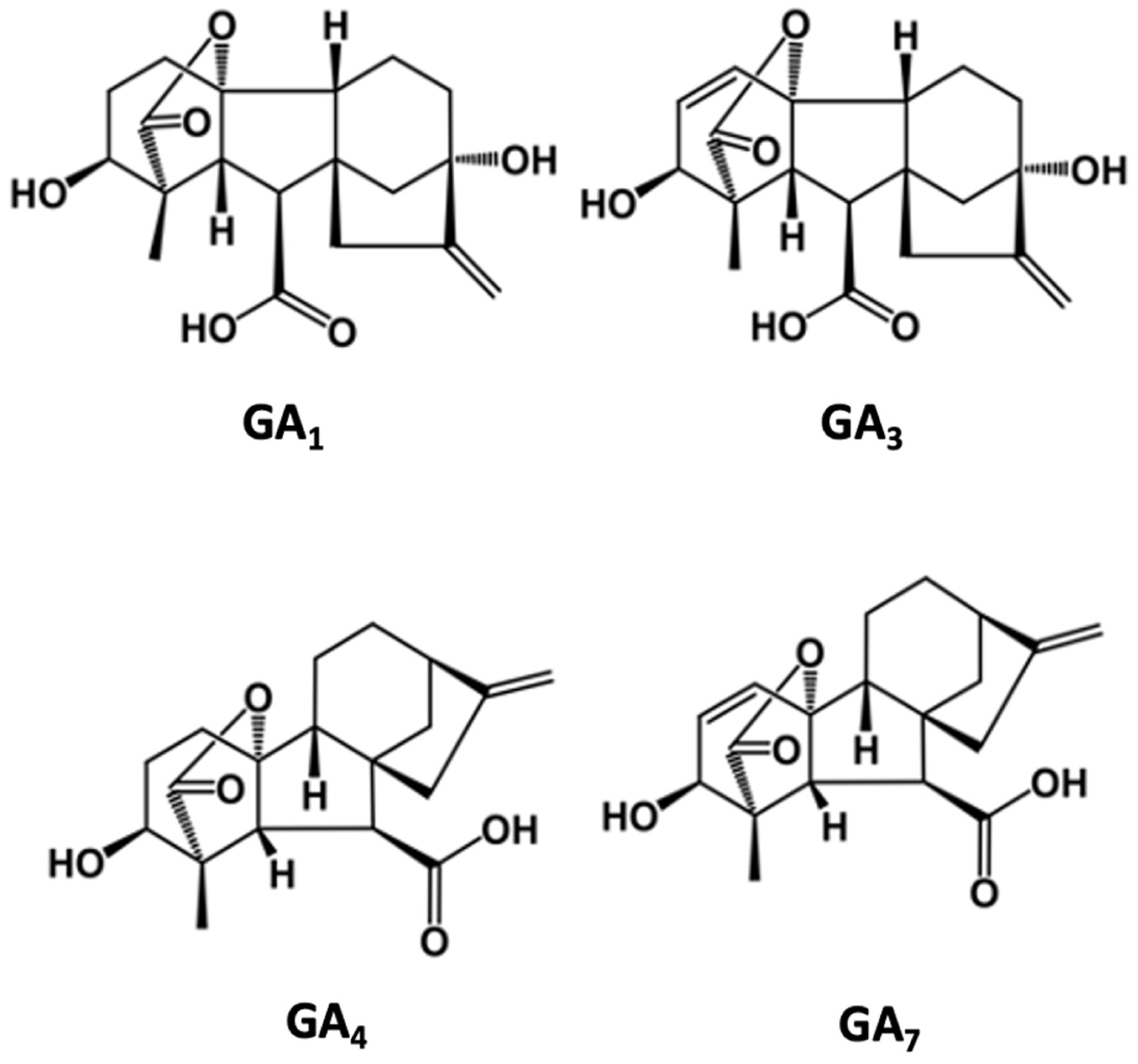 Plants 12 00606 g002