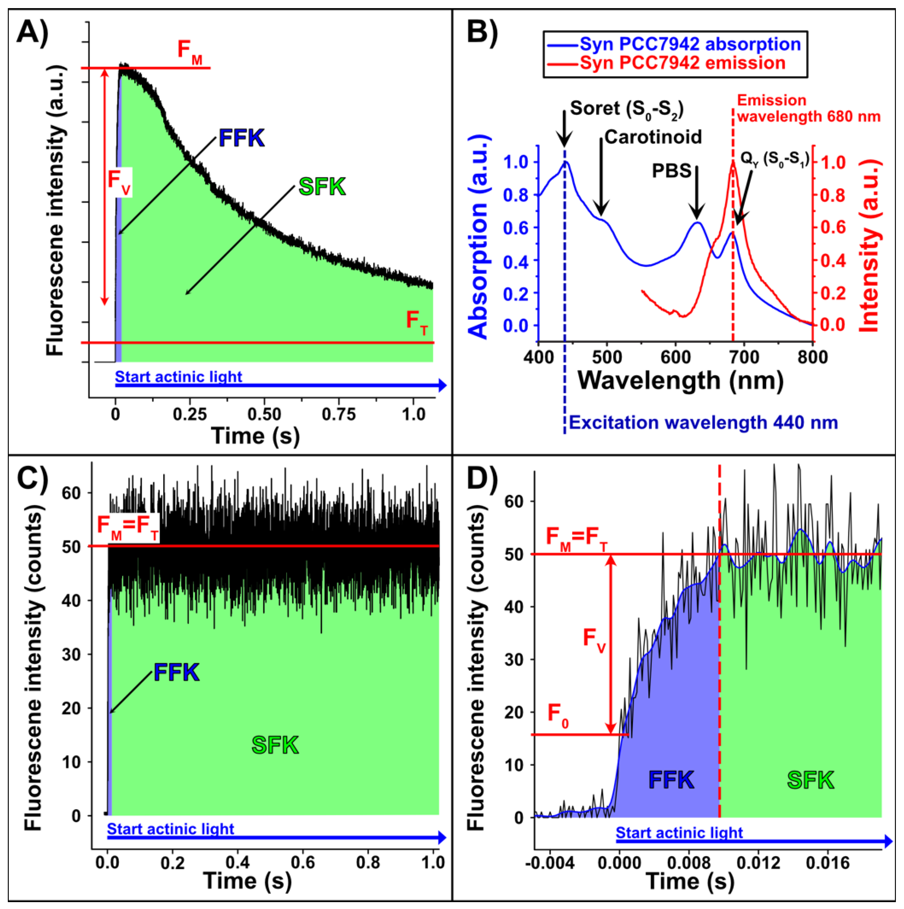 Plants 12 00607 g001