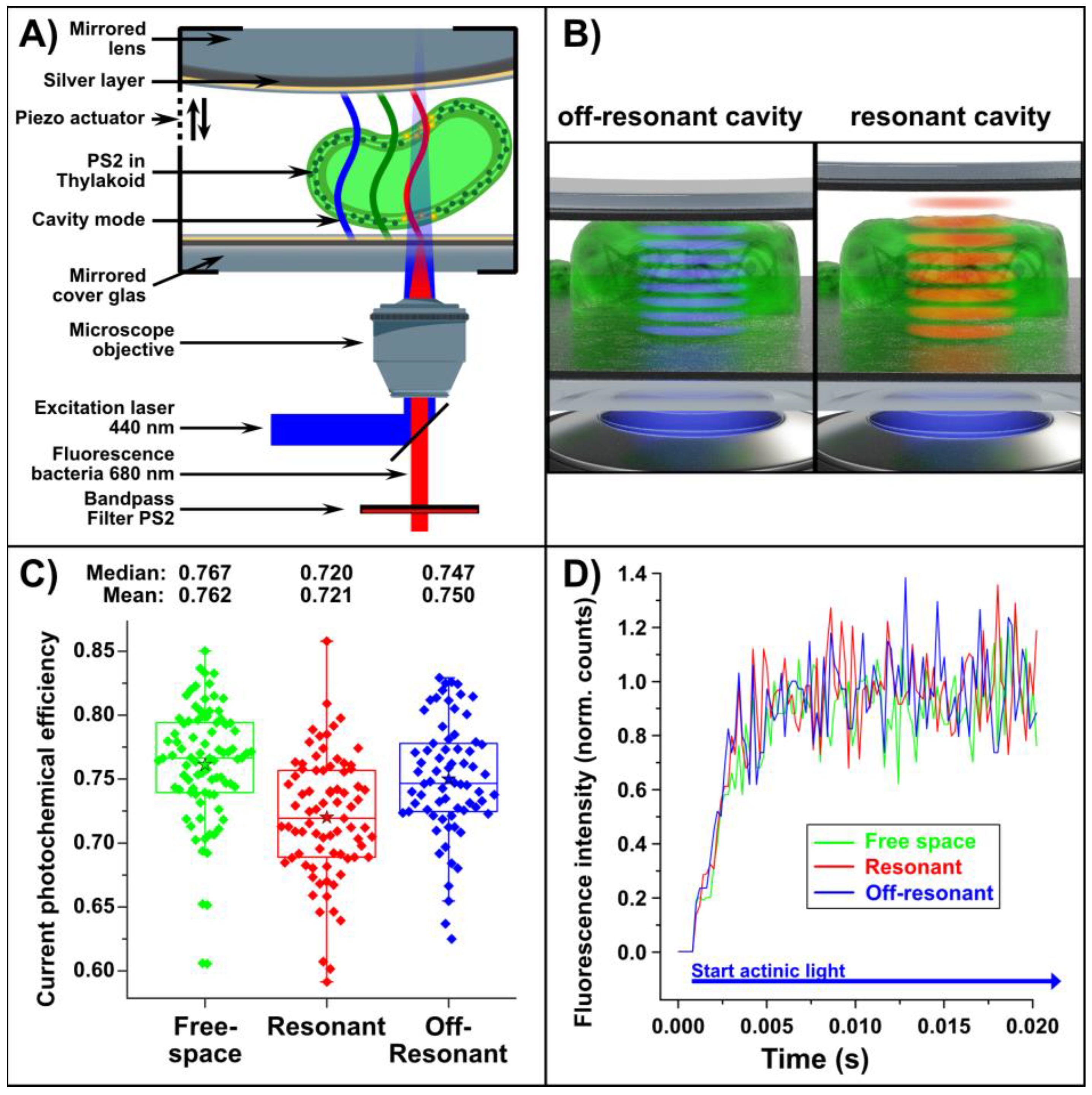 Plants 12 00607 g003