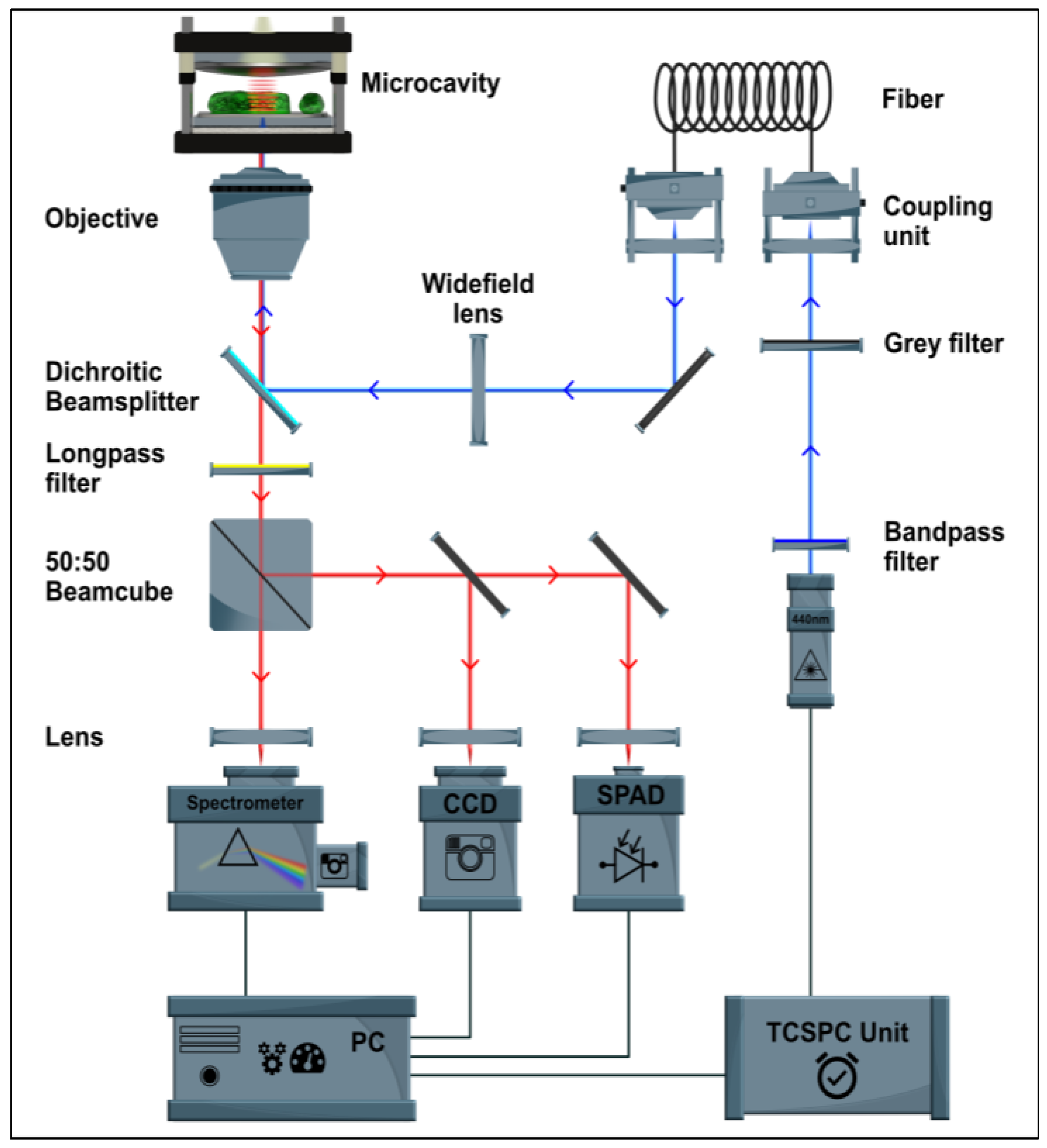 Plants 12 00607 g004
