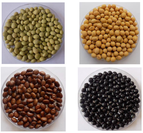 Plants Free FullText Global Status of Vegetable Soybean