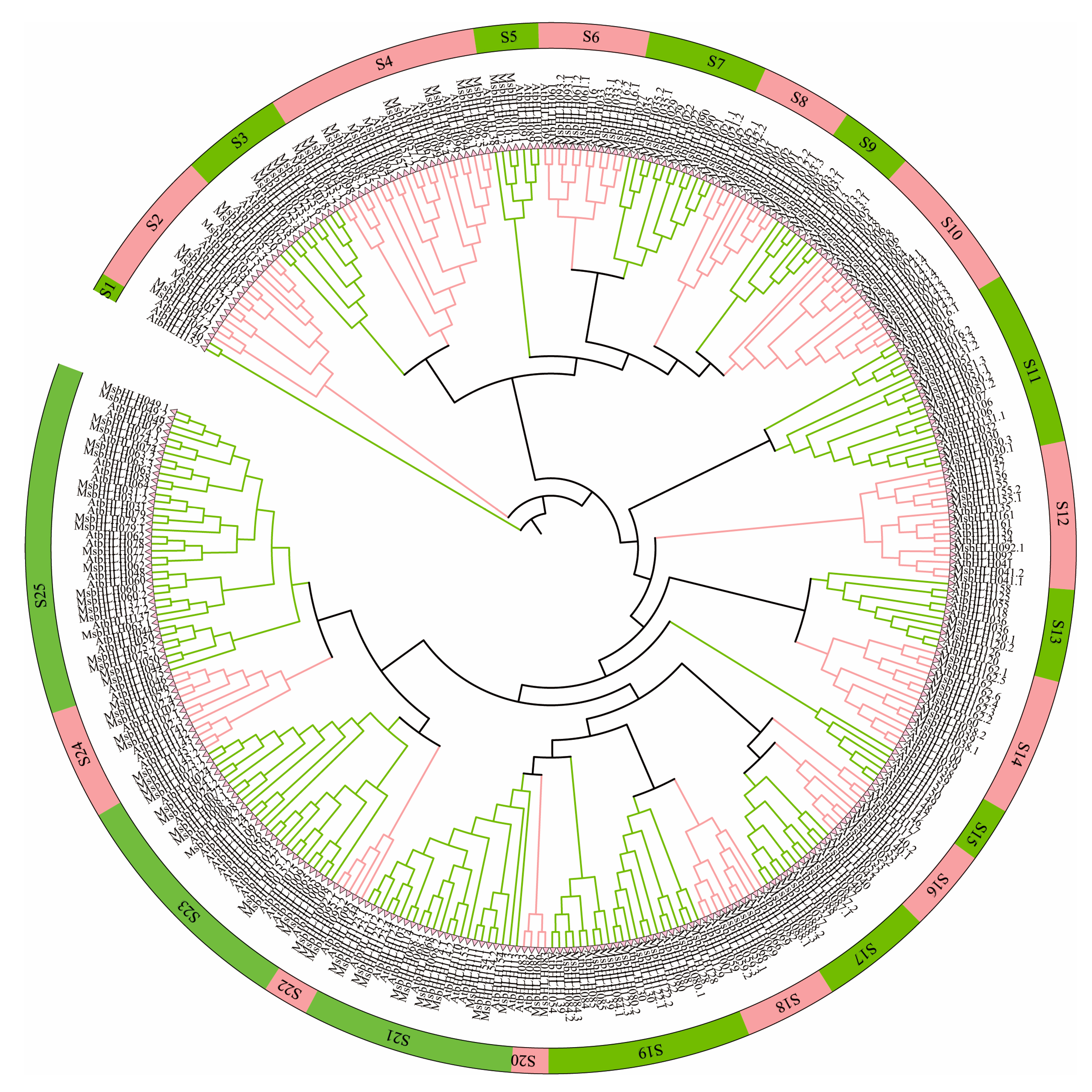 Plants 12 00620 g002 Plants 12 00620 g002