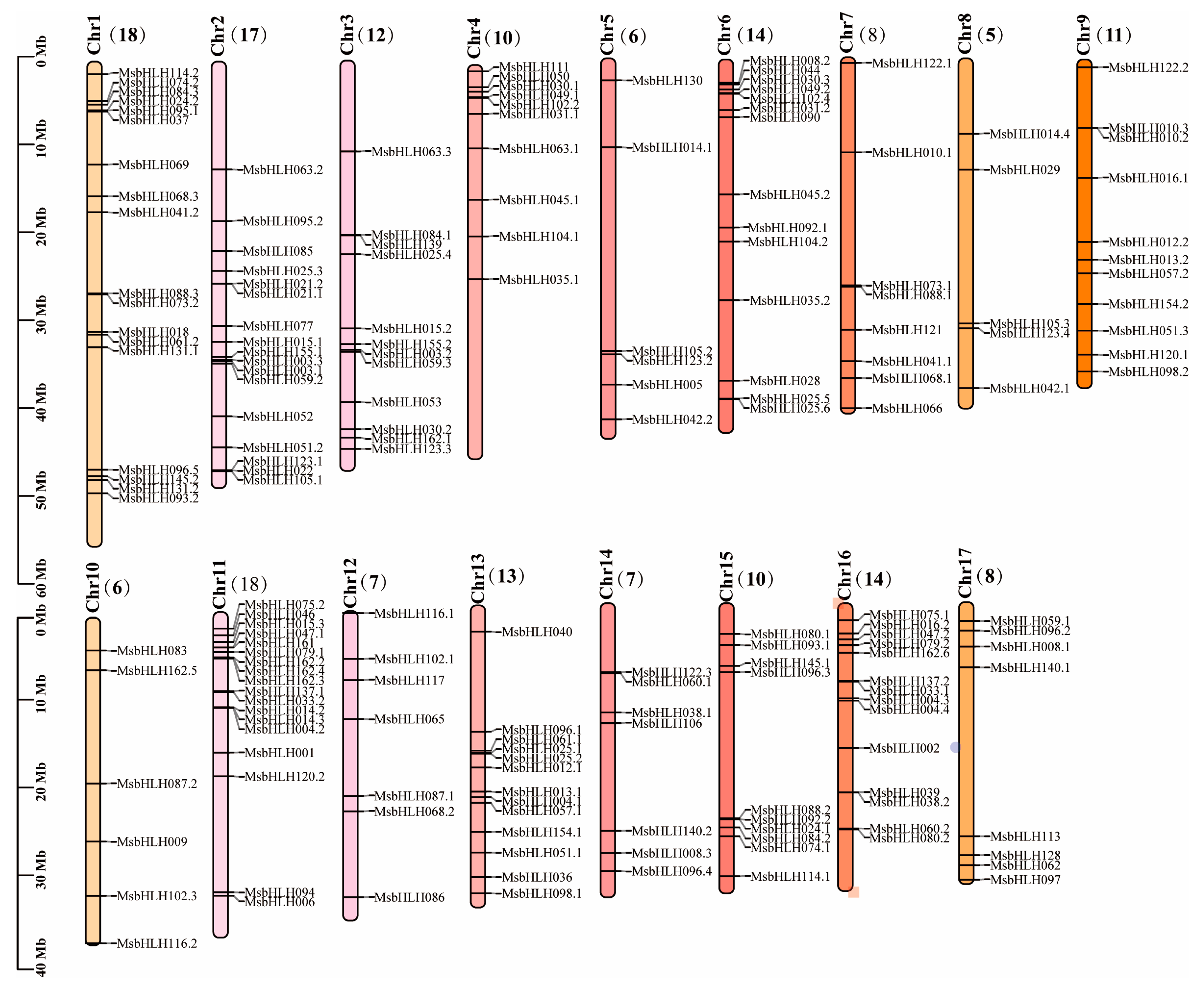 Plants 12 00620 g004 Plants 12 00620 g004
