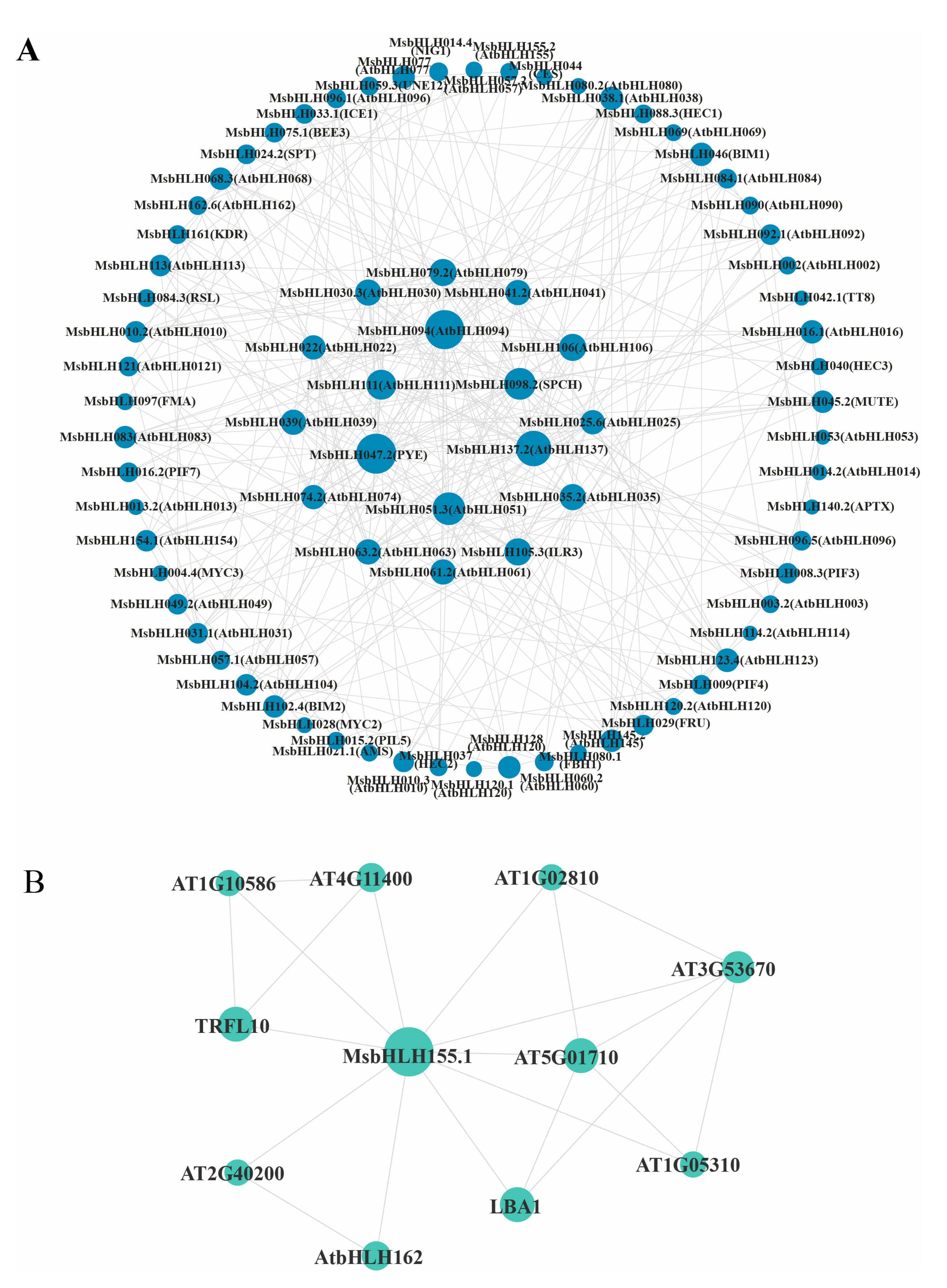 Plants 12 00620 g006 Plants 12 00620 g006