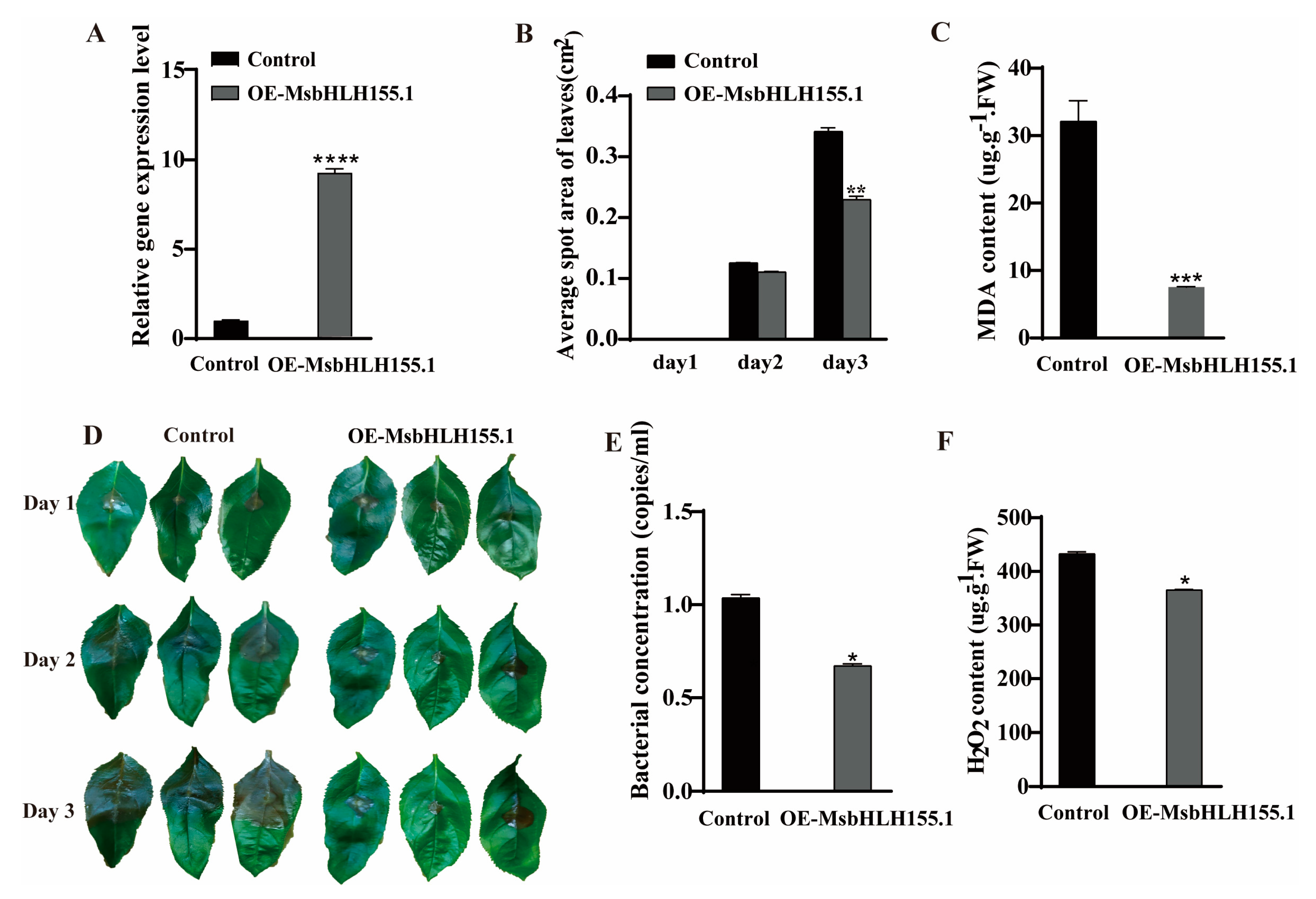 Plants 12 00620 g008 Plants 12 00620 g008