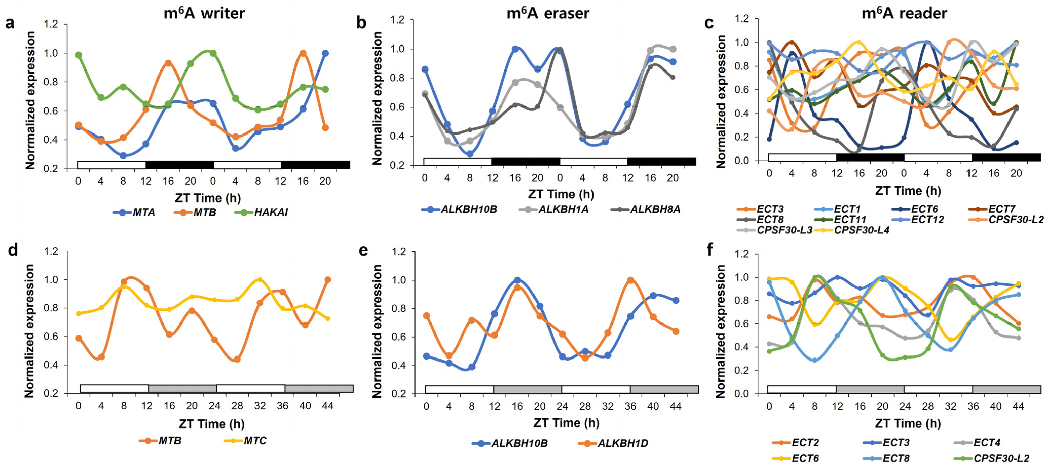Plants | Free Full-Text | Current Insights into m6A RNA 