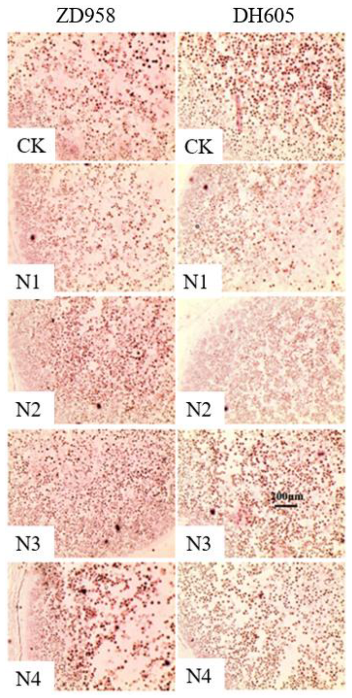 Plants 12 00625 g005