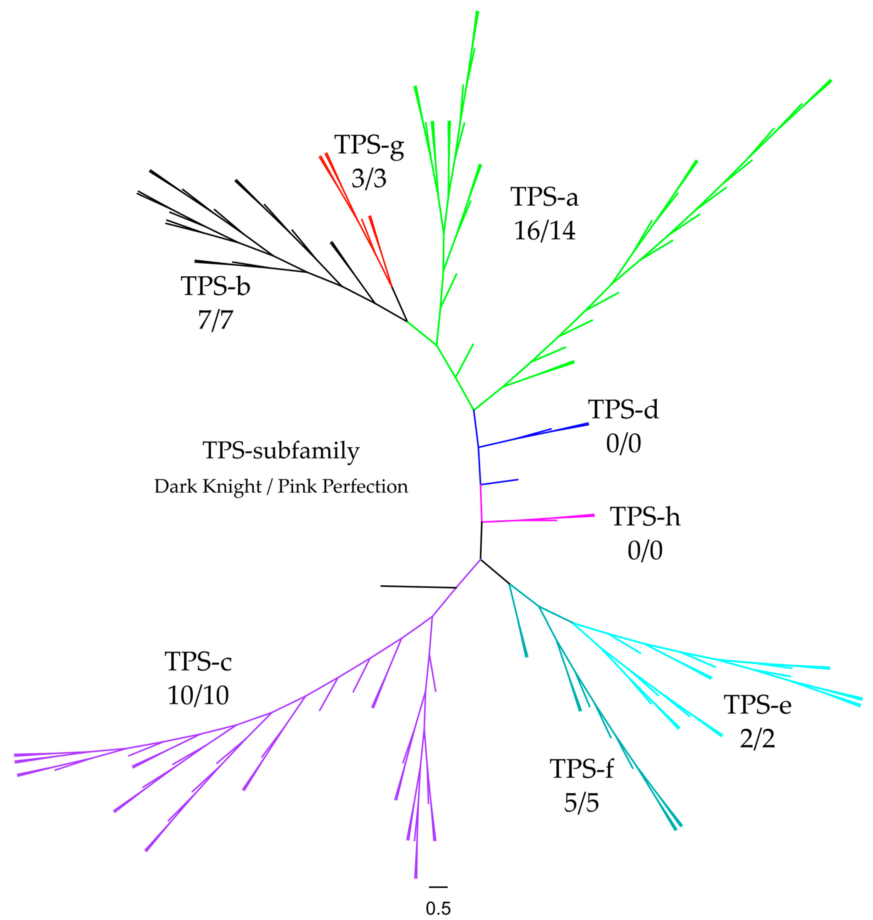 Plants 12 00632 g007