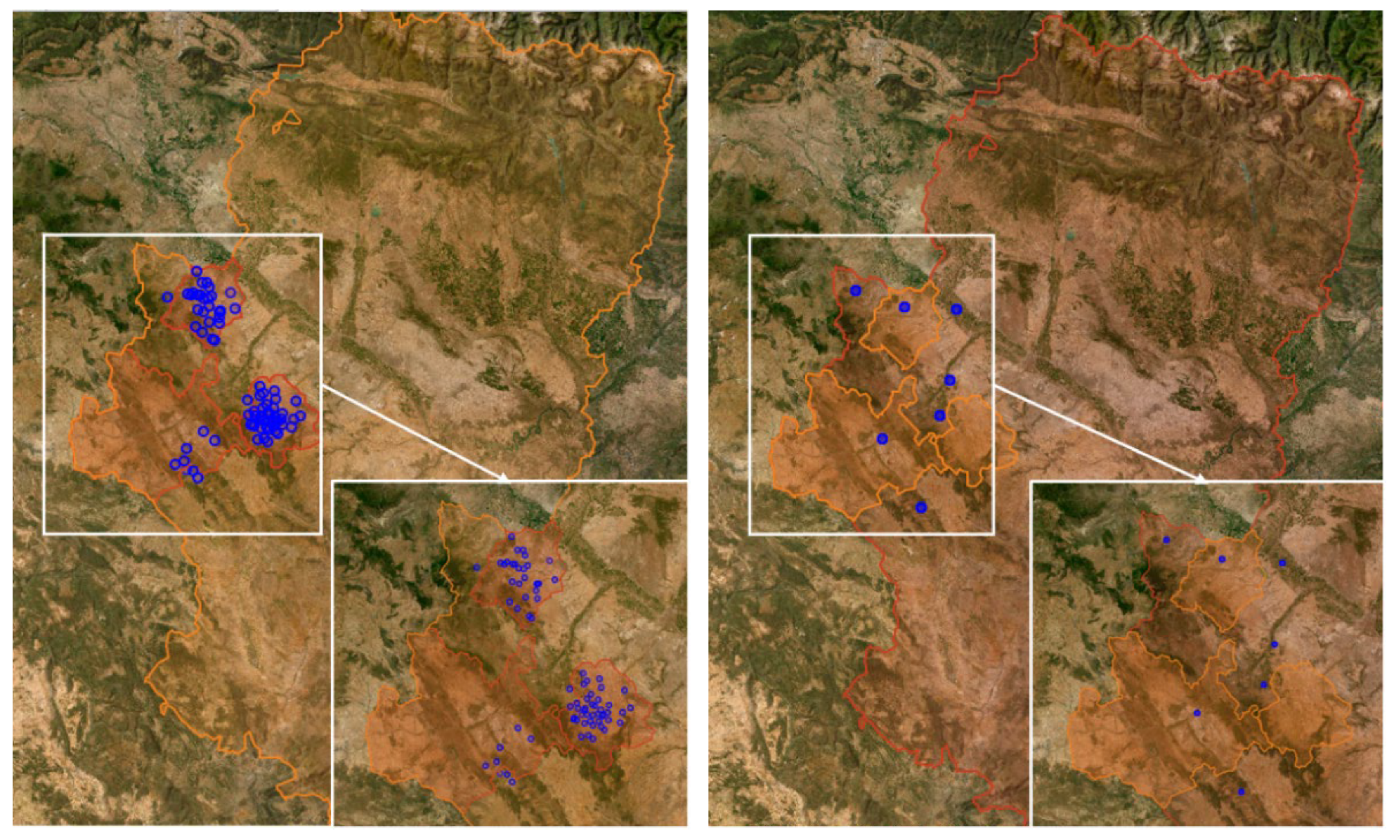 Plants 12 00633 g004