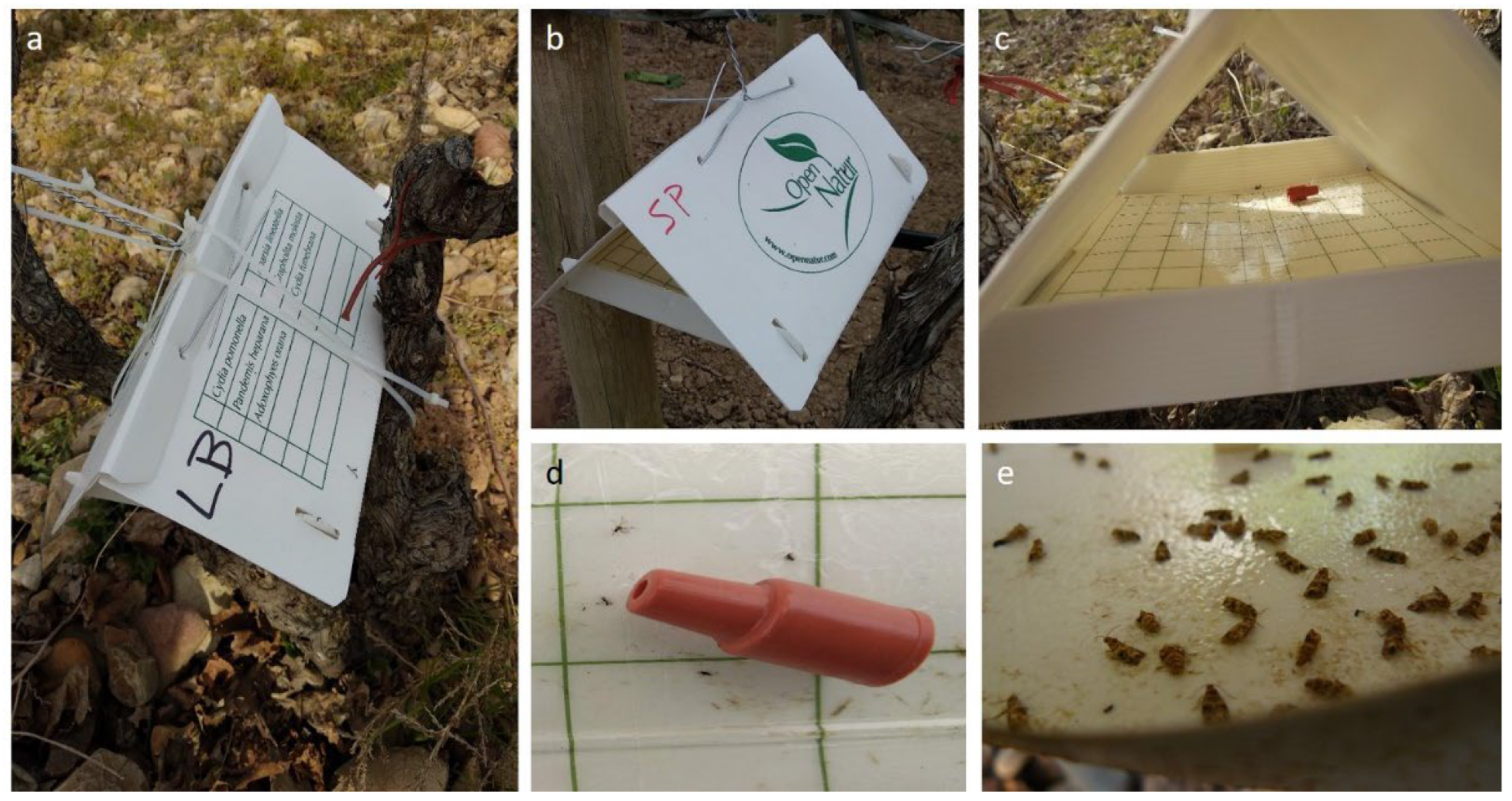 Plants 12 00633 g005