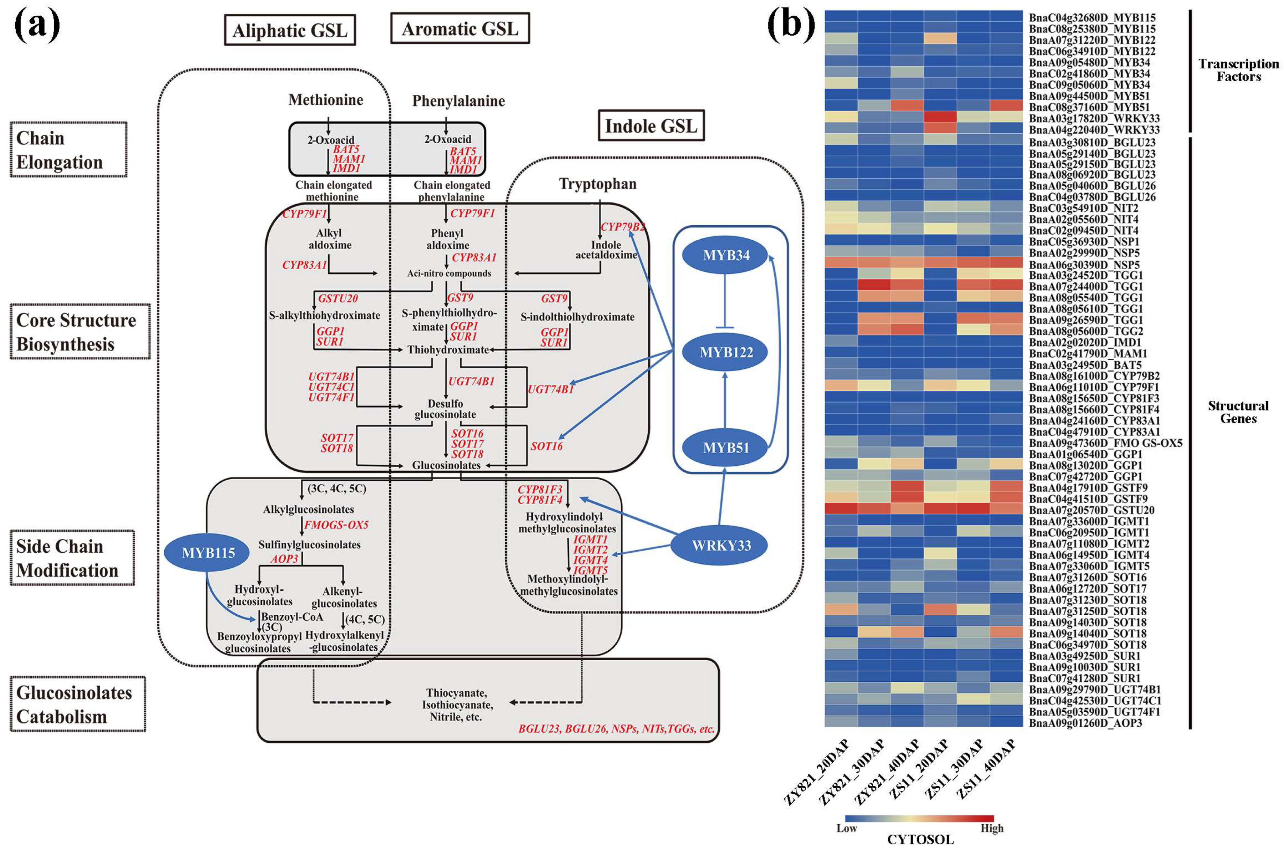 Plants 12 00639 g004 Plants 12 00639 g004