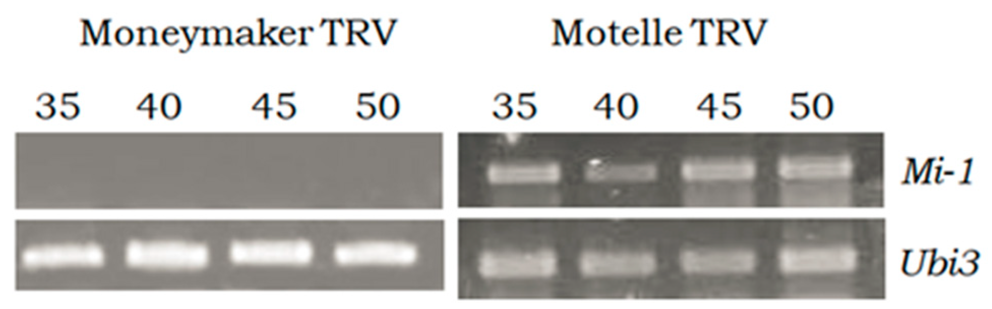 Plants 12 00641 g002