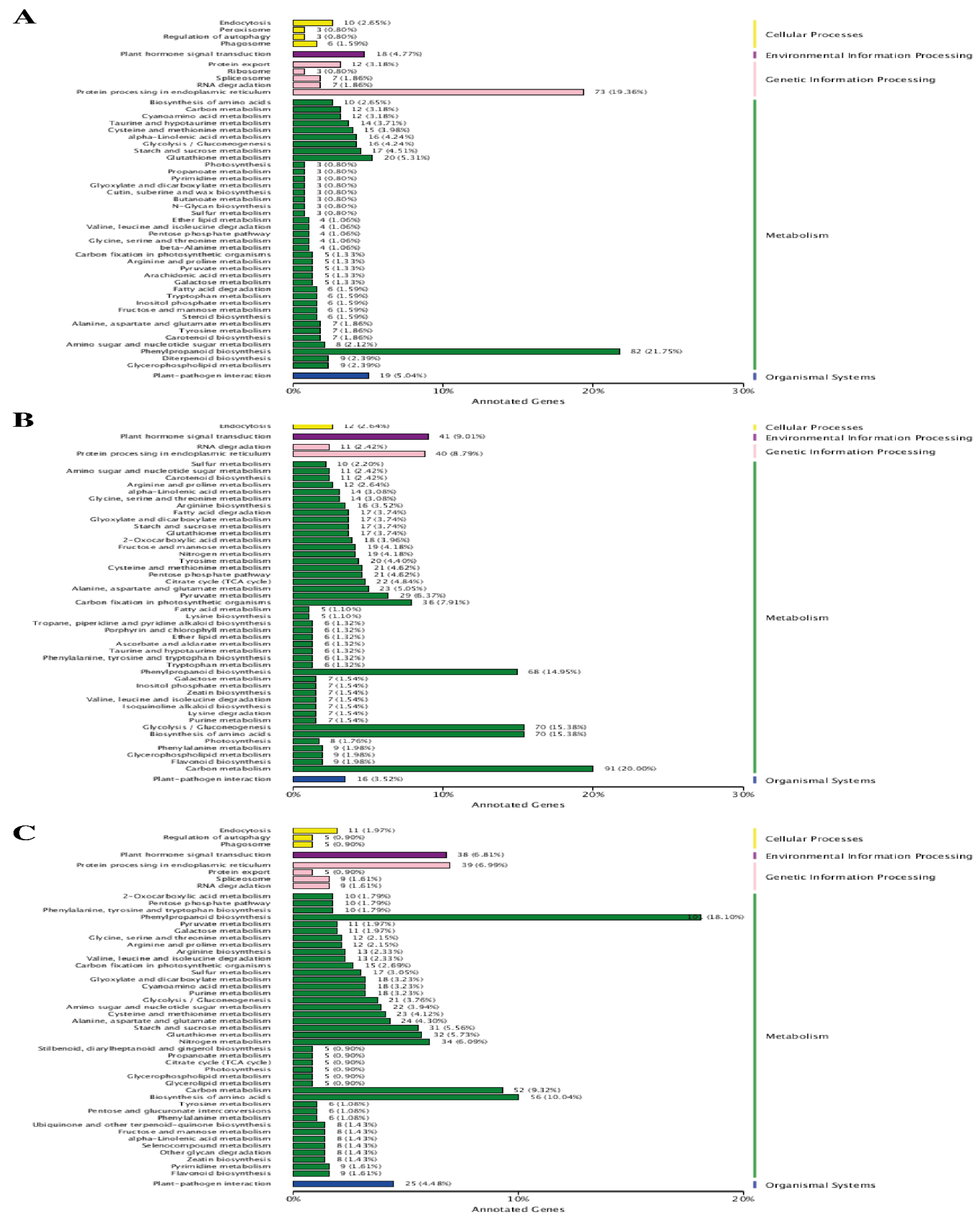Plants 12 00642 g006 Plants 12 00642 g006
