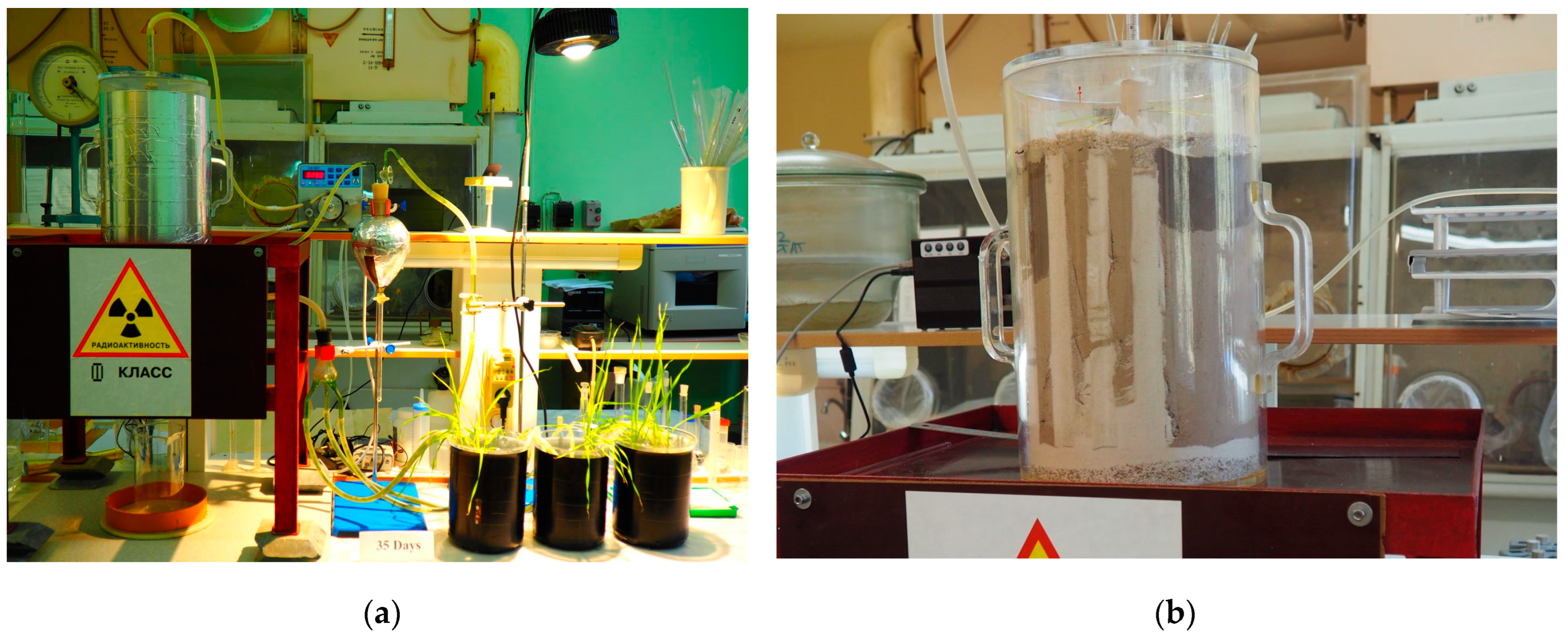 Plants 12 00649 g002 550