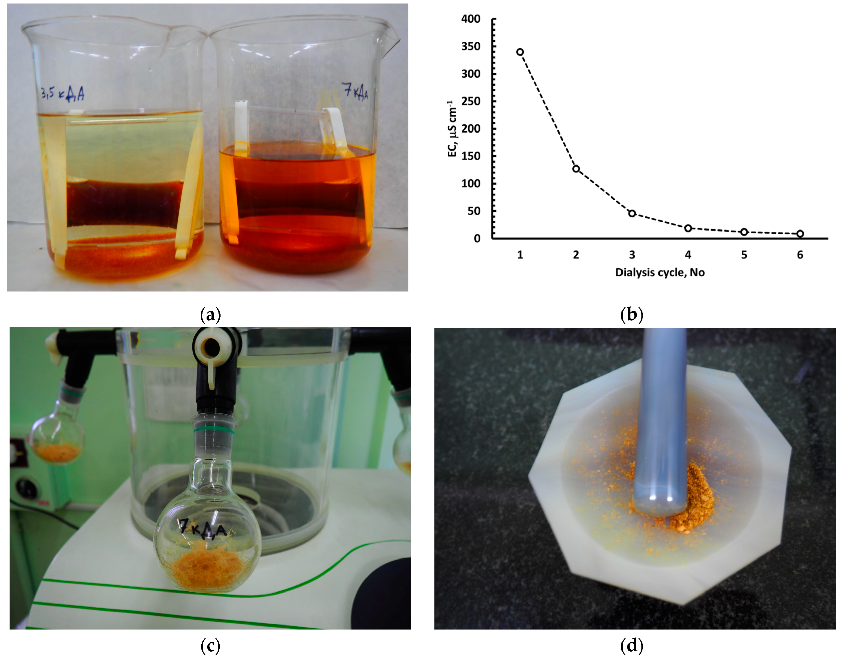 Plants 12 00649 g003 550
