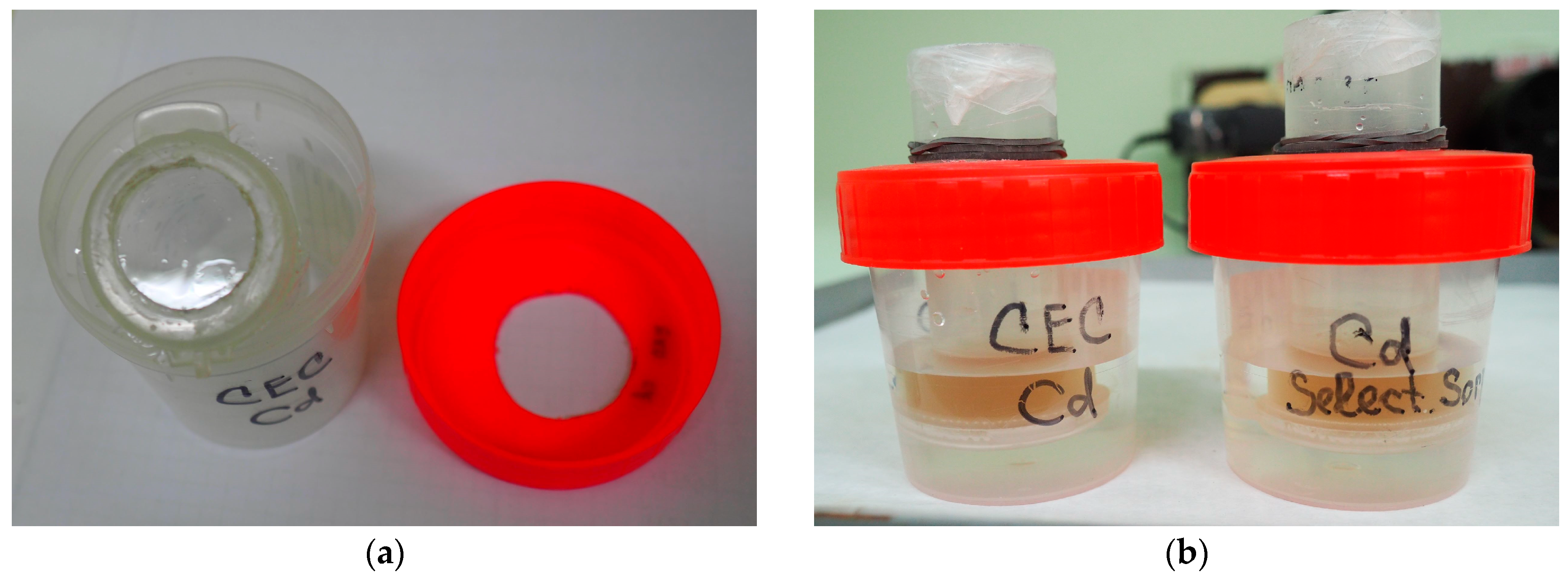 Plants 12 00649 g004 550