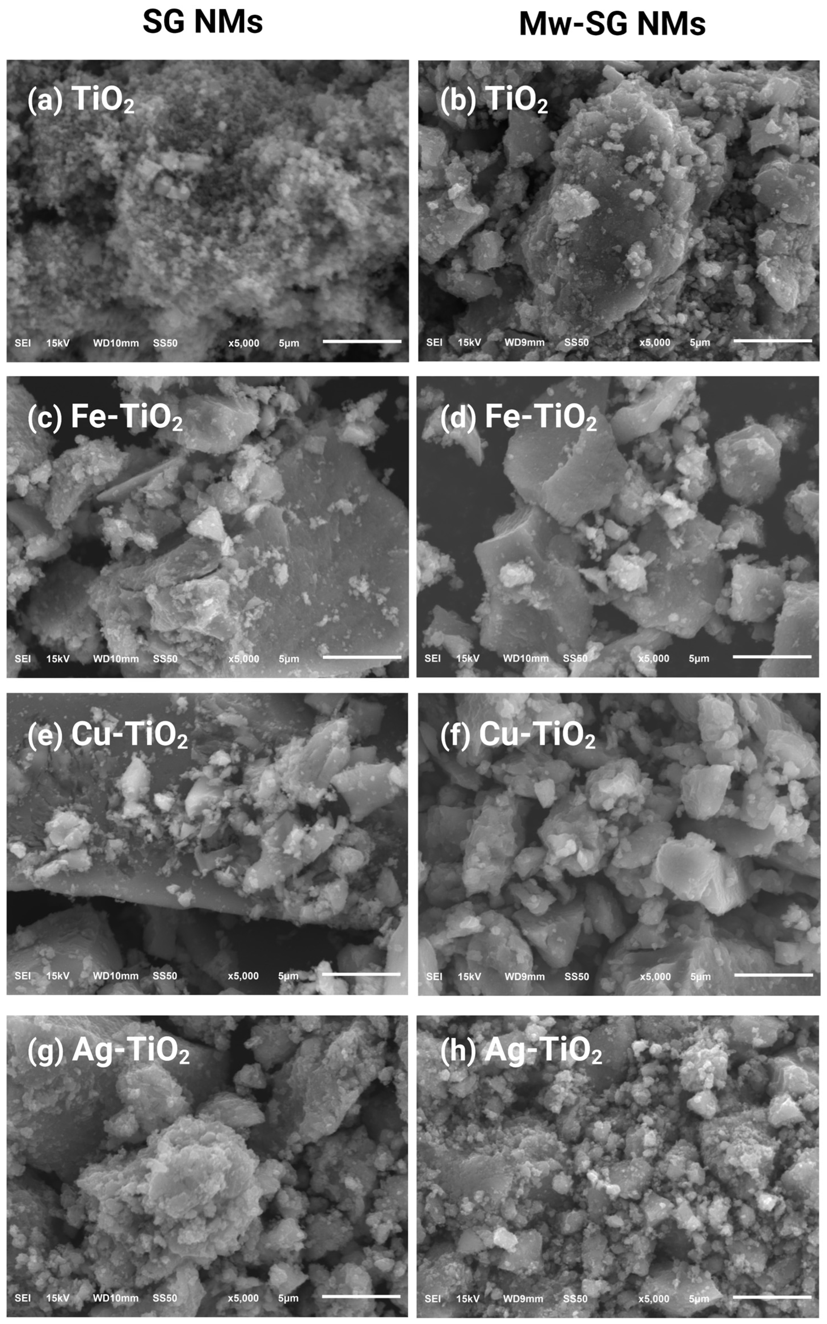 Plants 12 00659 g001 Plants 12 00659 g001