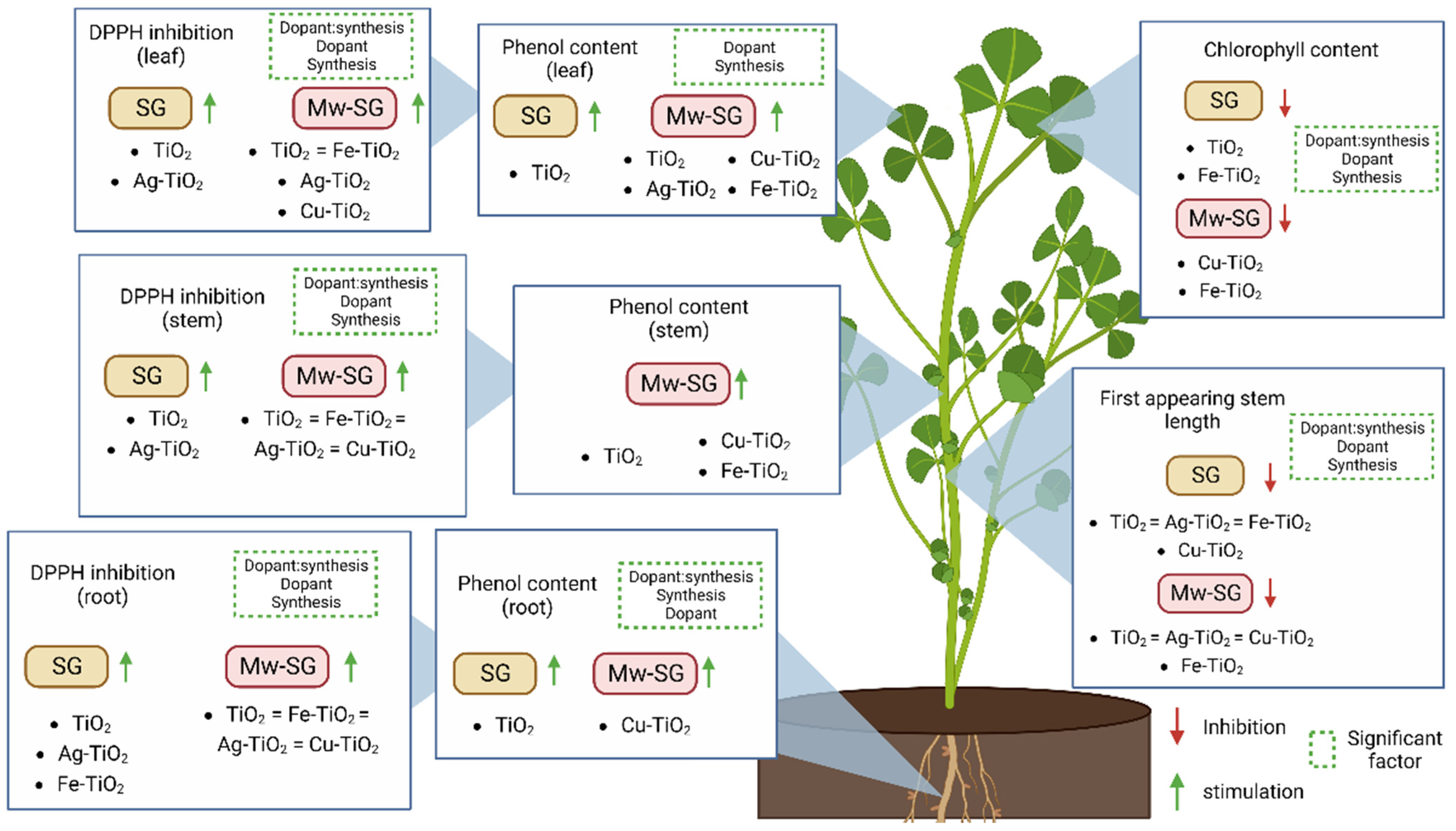 Plants 12 00659 g008 Plants 12 00659 g008