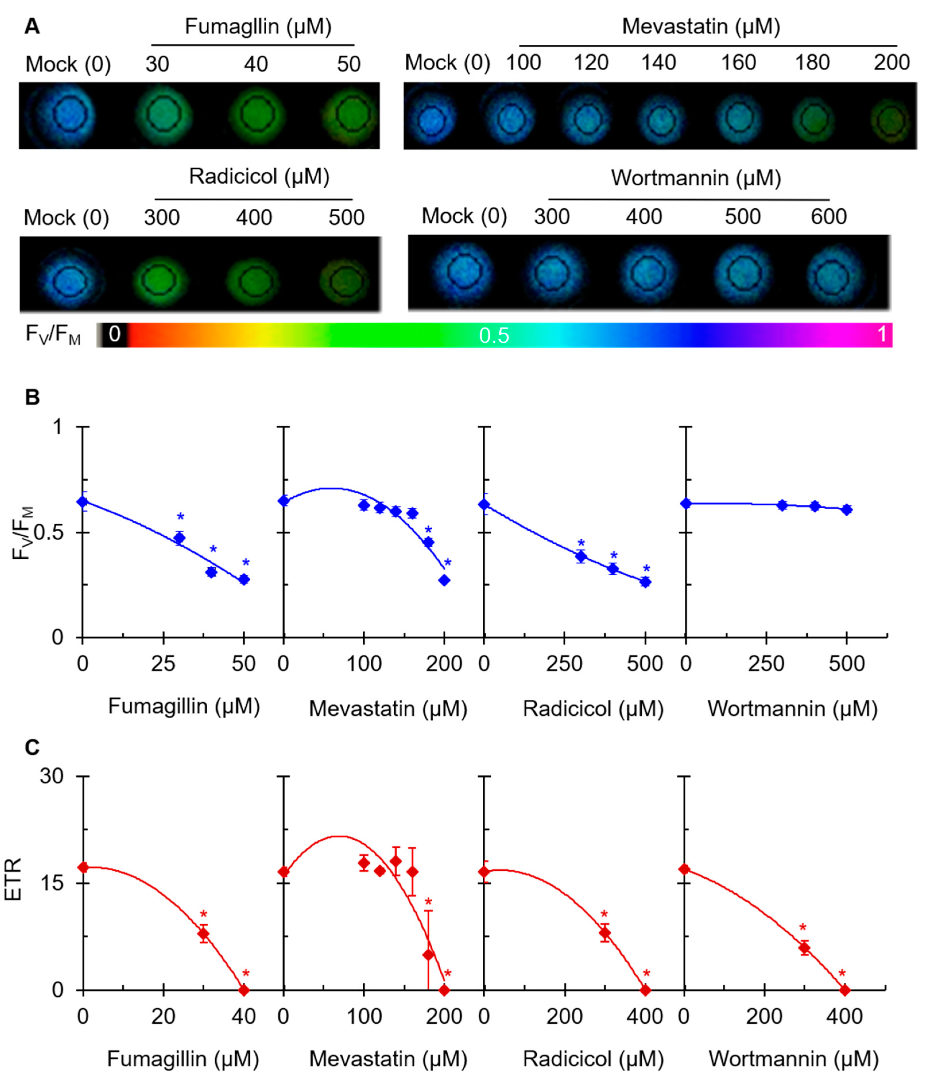 Plants 12 00665 g003