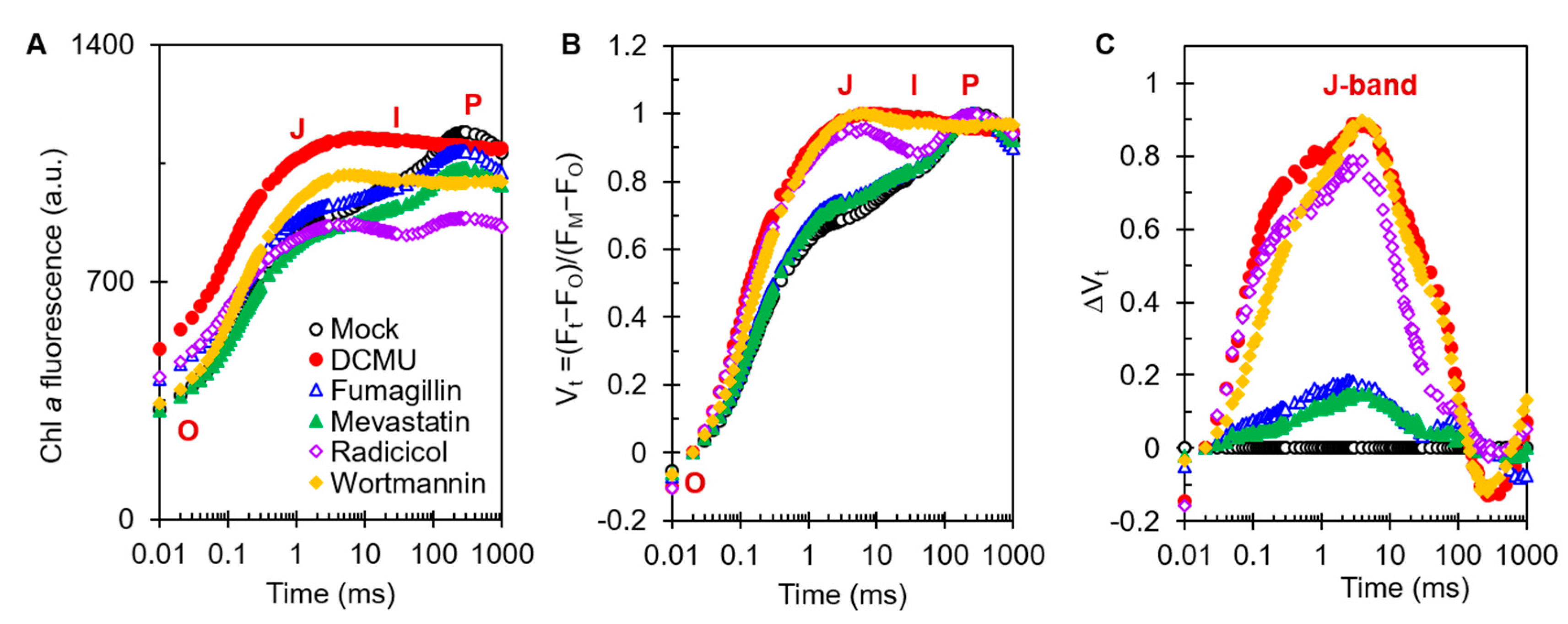 Plants 12 00665 g004