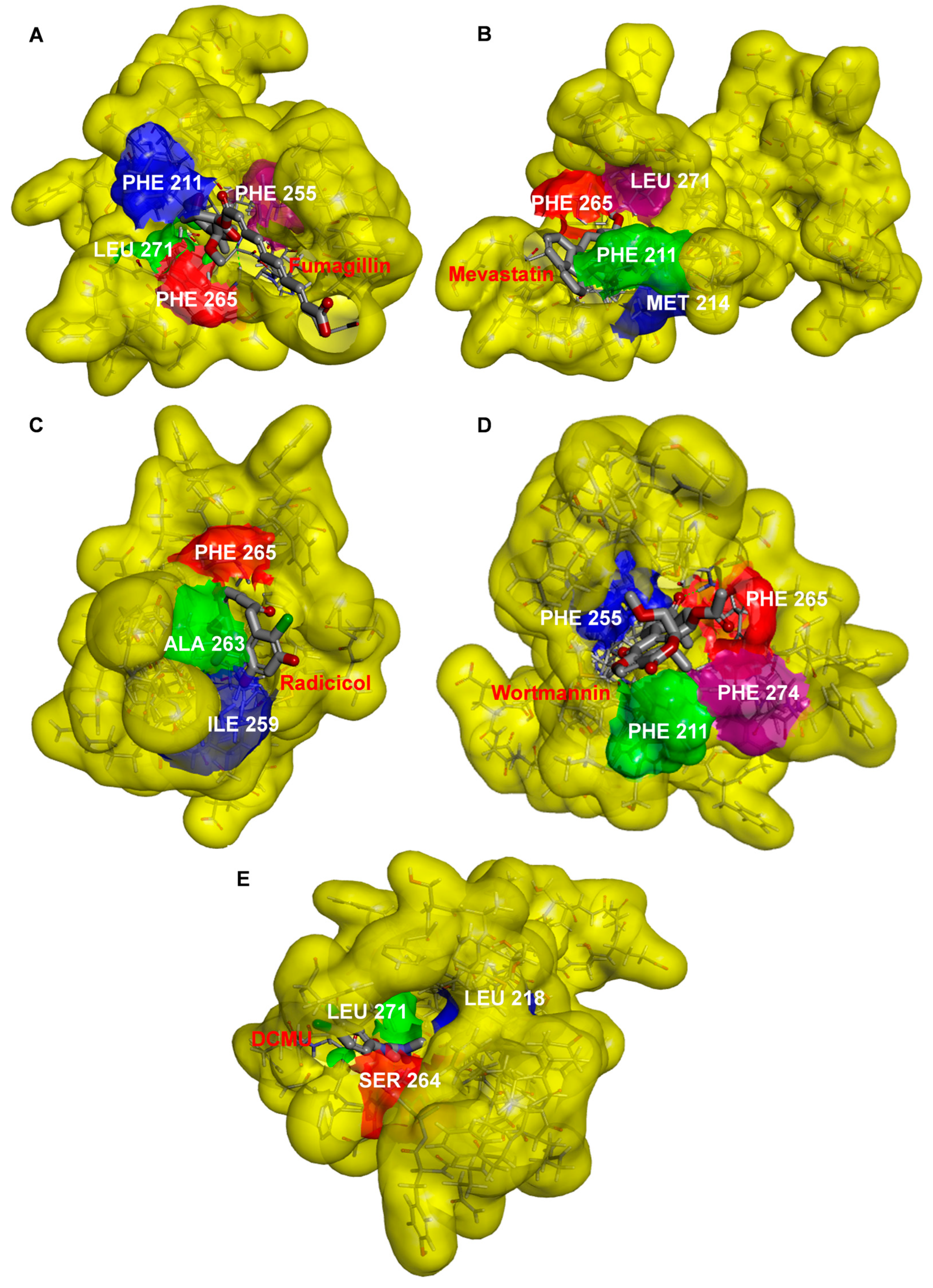 Plants 12 00665 g007