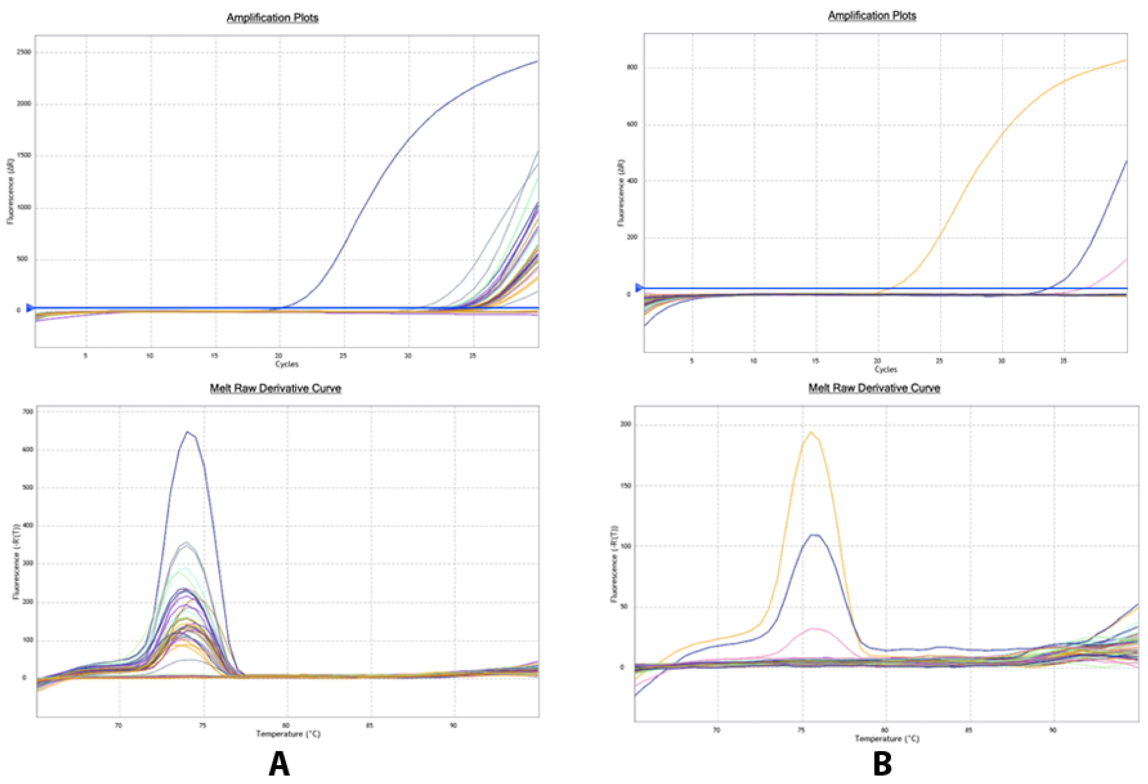 Plants 12 00667 g004 Plants 12 00667 g004