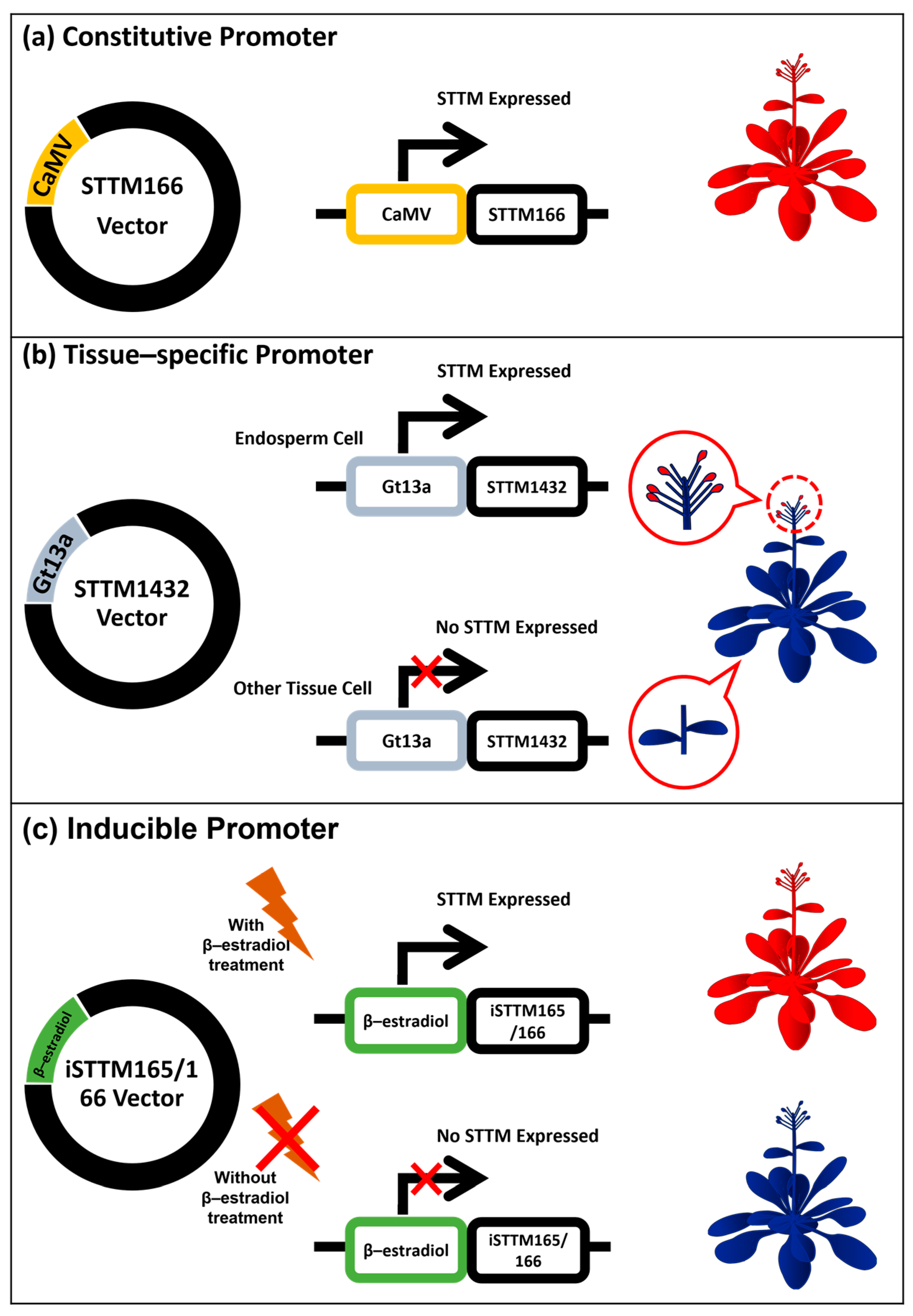 Plants 12 00669 g005 Plants 12 00669 g005