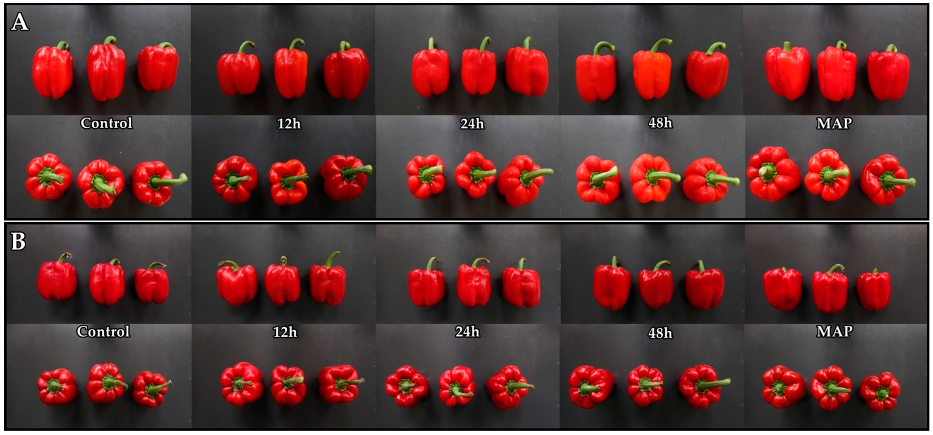 Plants 12 00671 g003