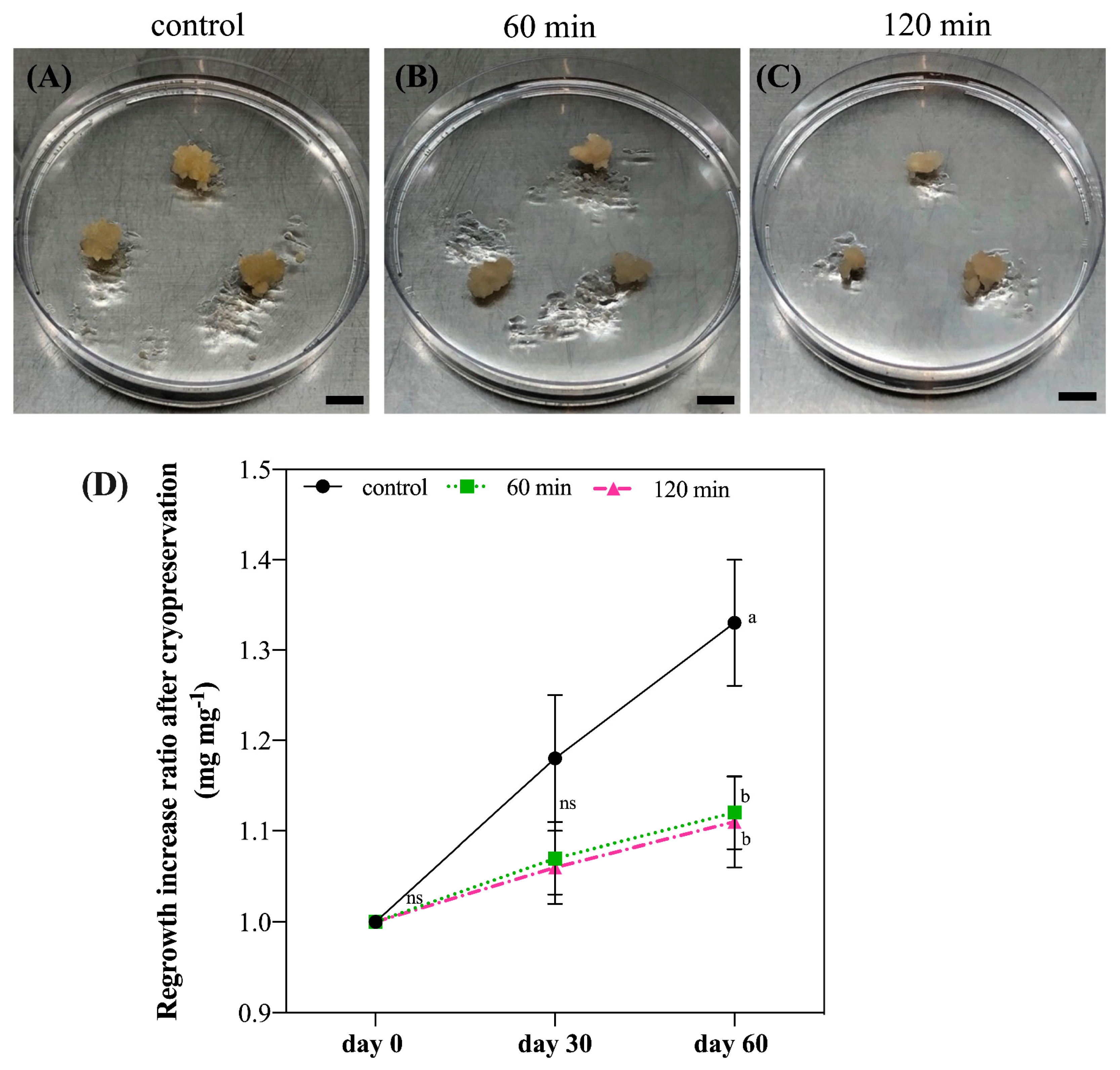 Plants 12 00673 g004