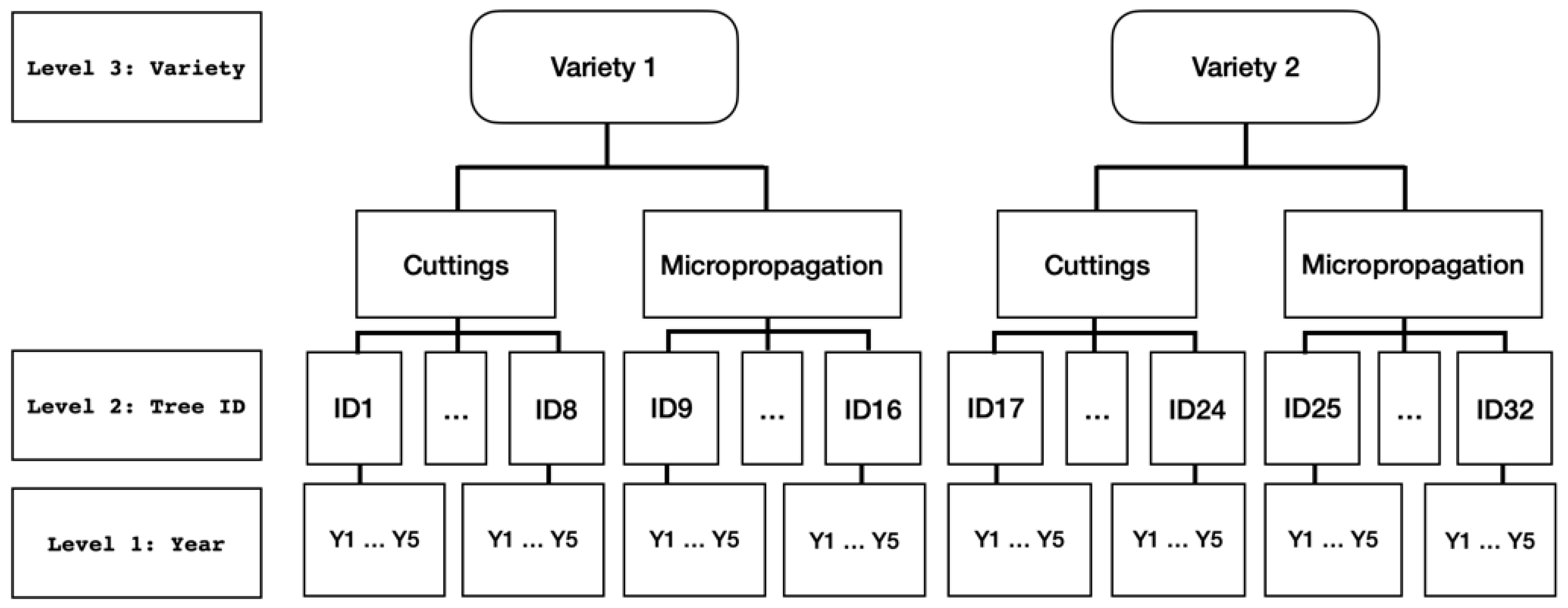Plants 12 00674 g001