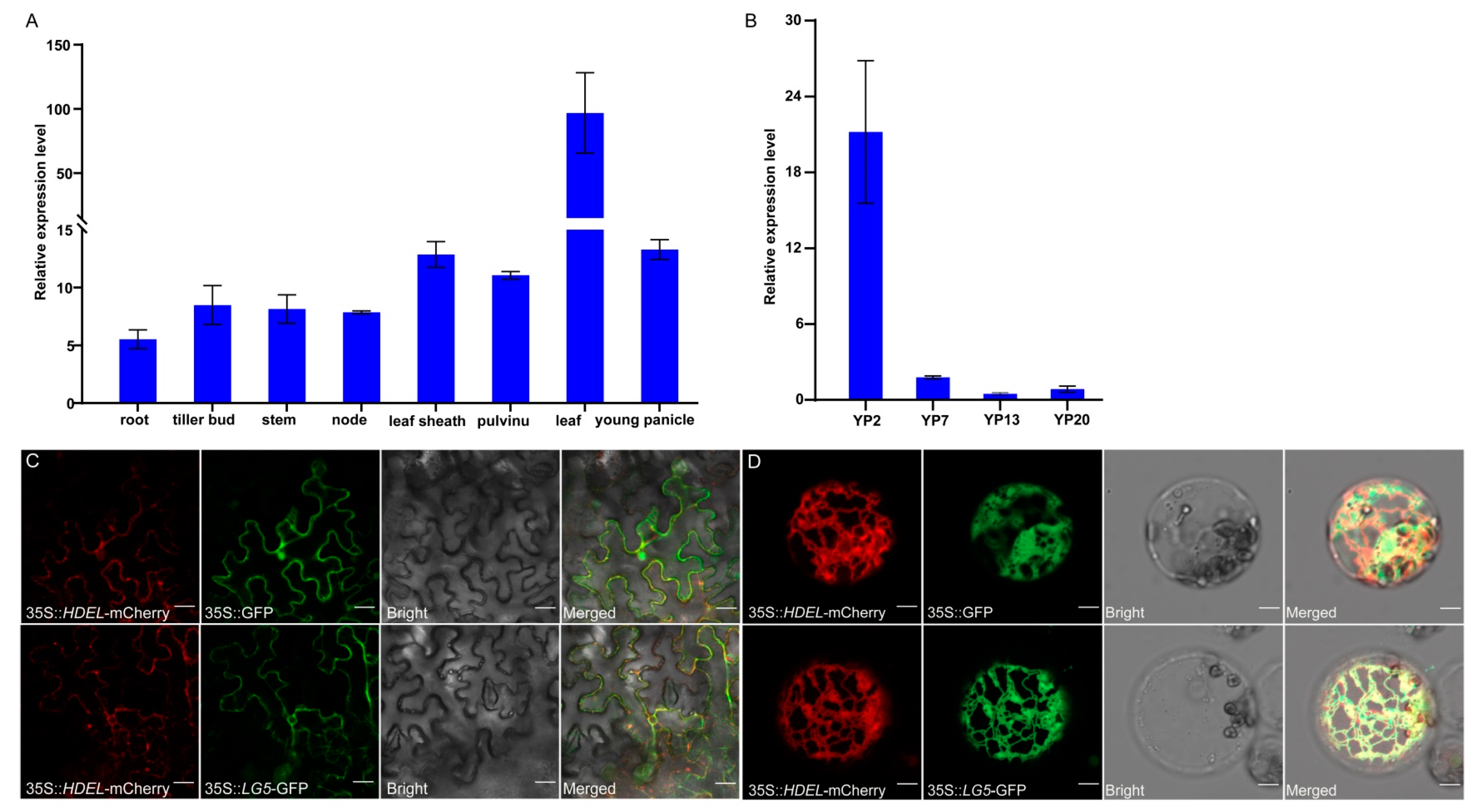 Plants 12 00675 g007 Plants 12 00675 g007