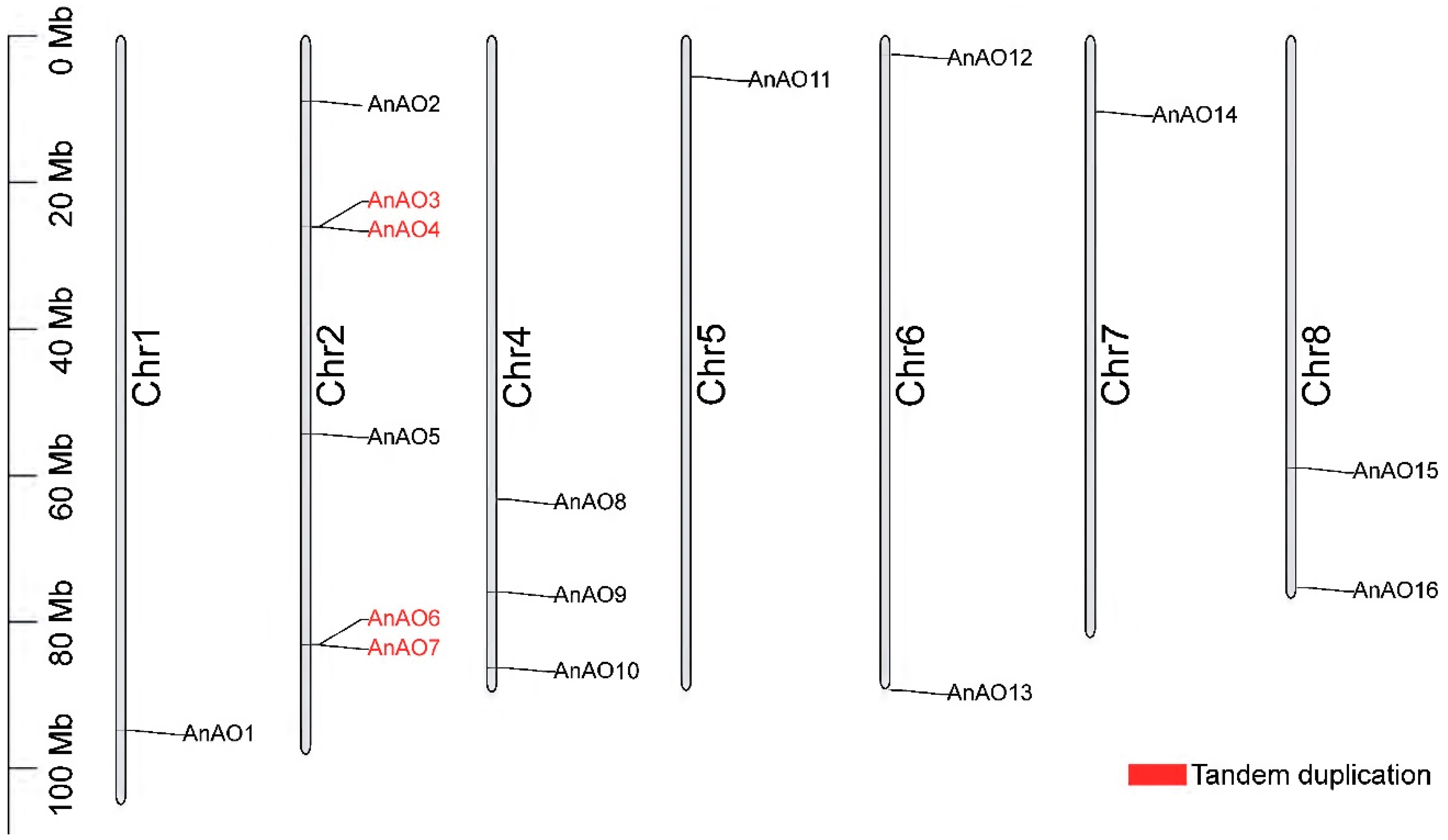 Plants 12 00677 g001