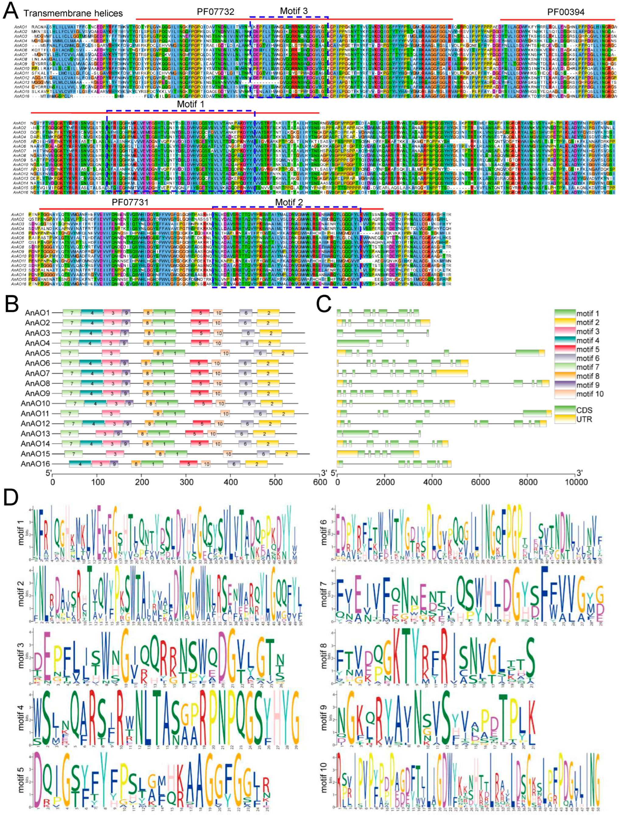 Plants 12 00677 g002
