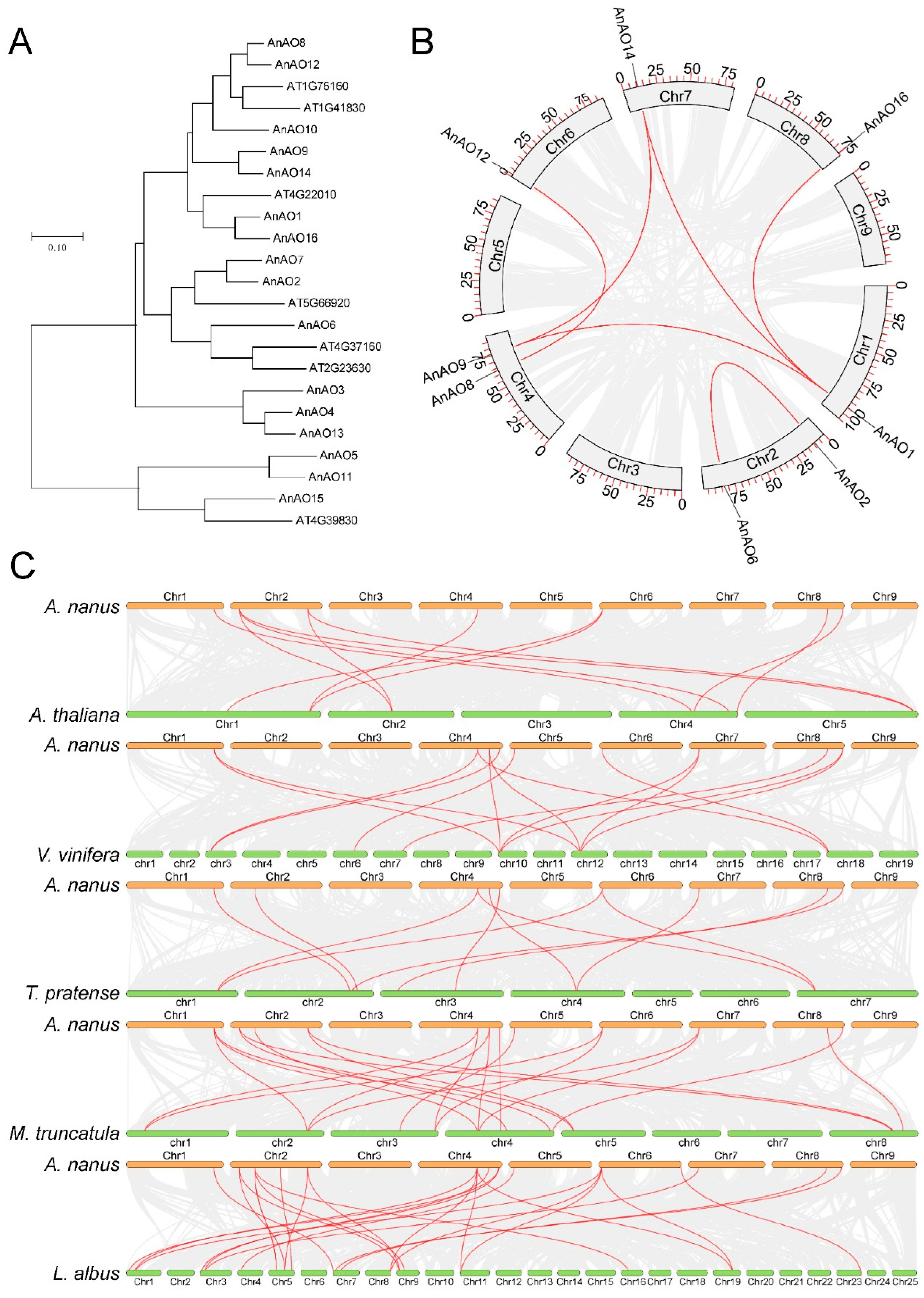 Plants 12 00677 g003