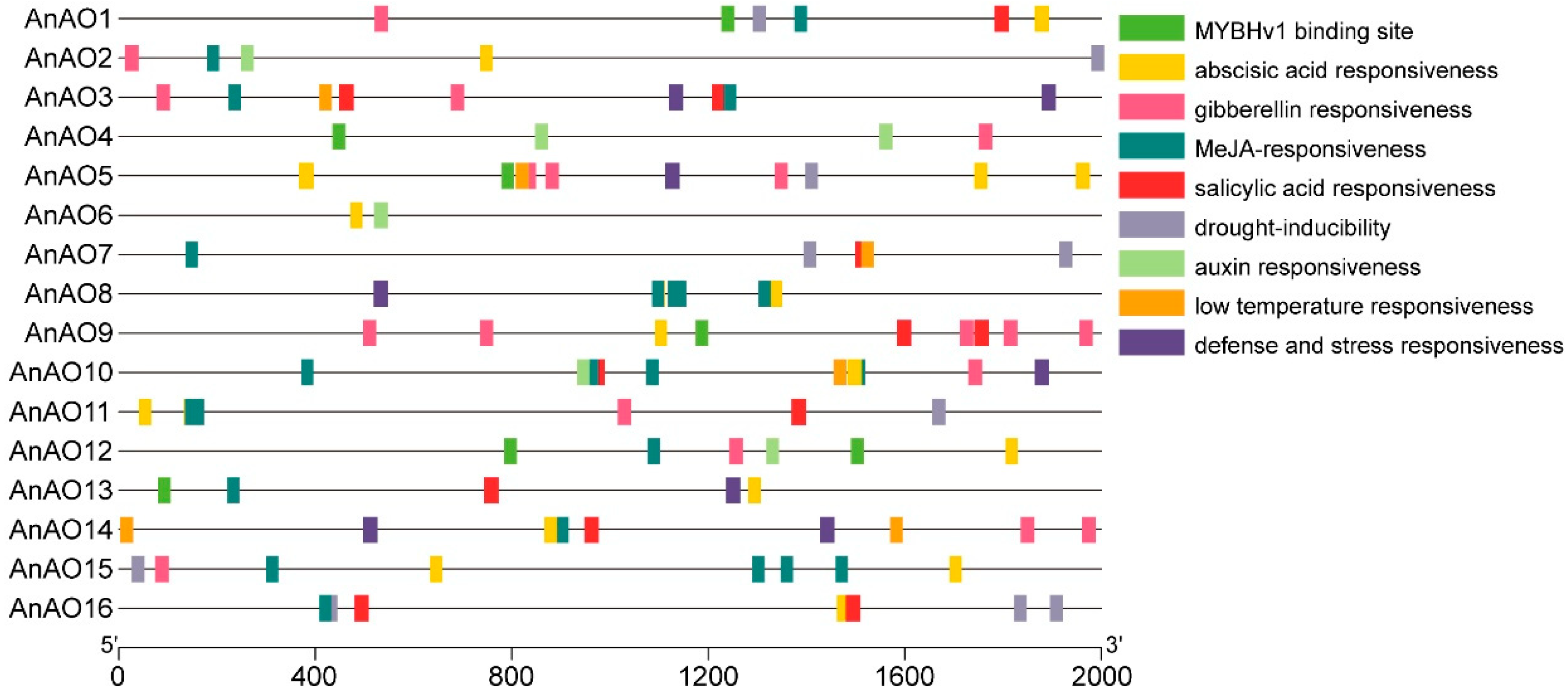 Plants 12 00677 g004