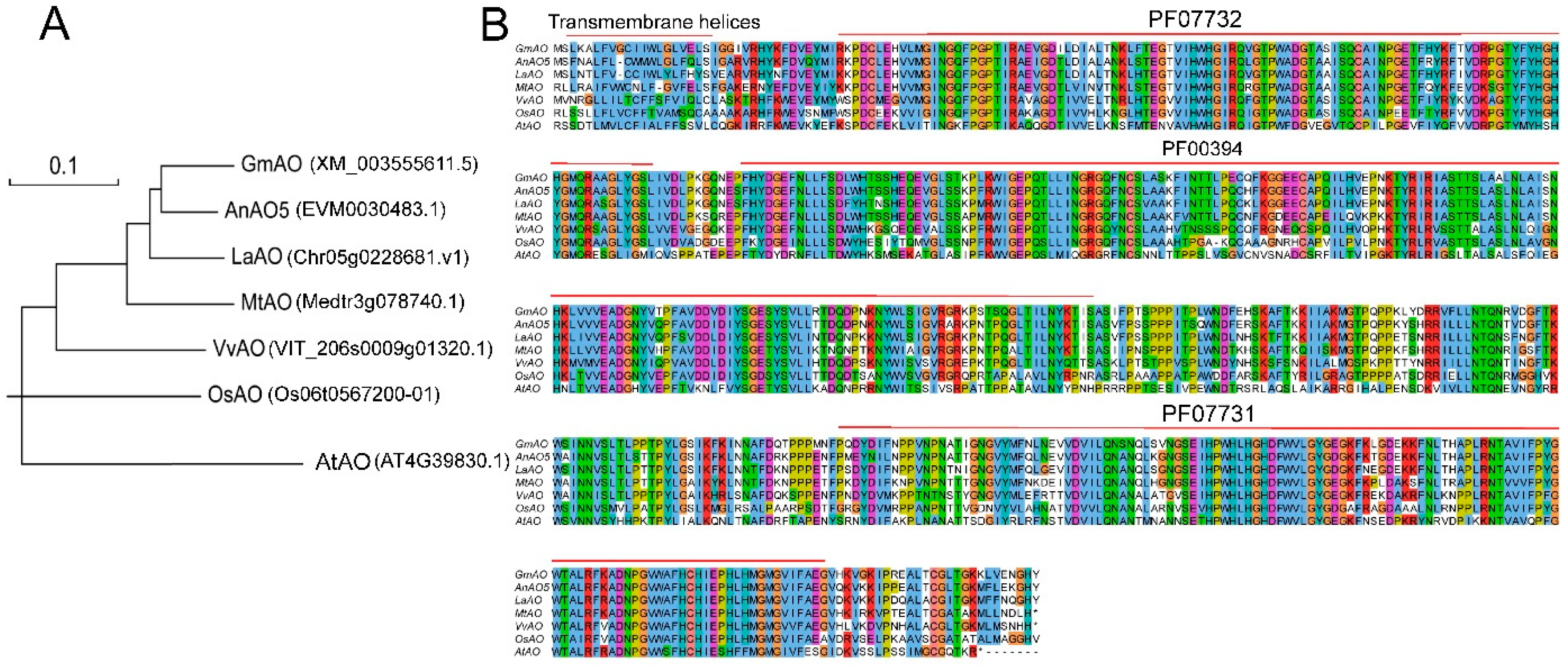 Plants 12 00677 g008