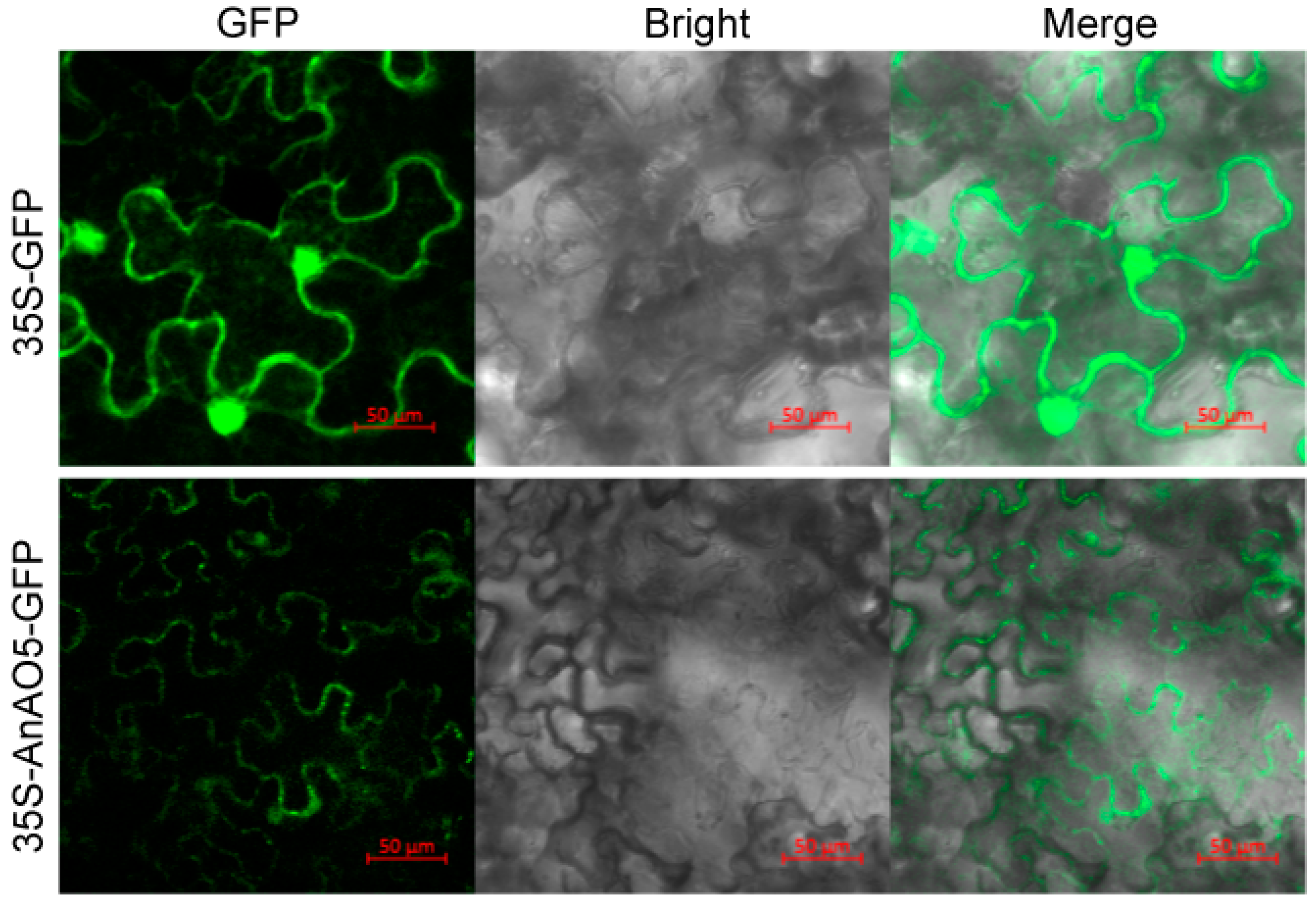 Plants 12 00677 g010