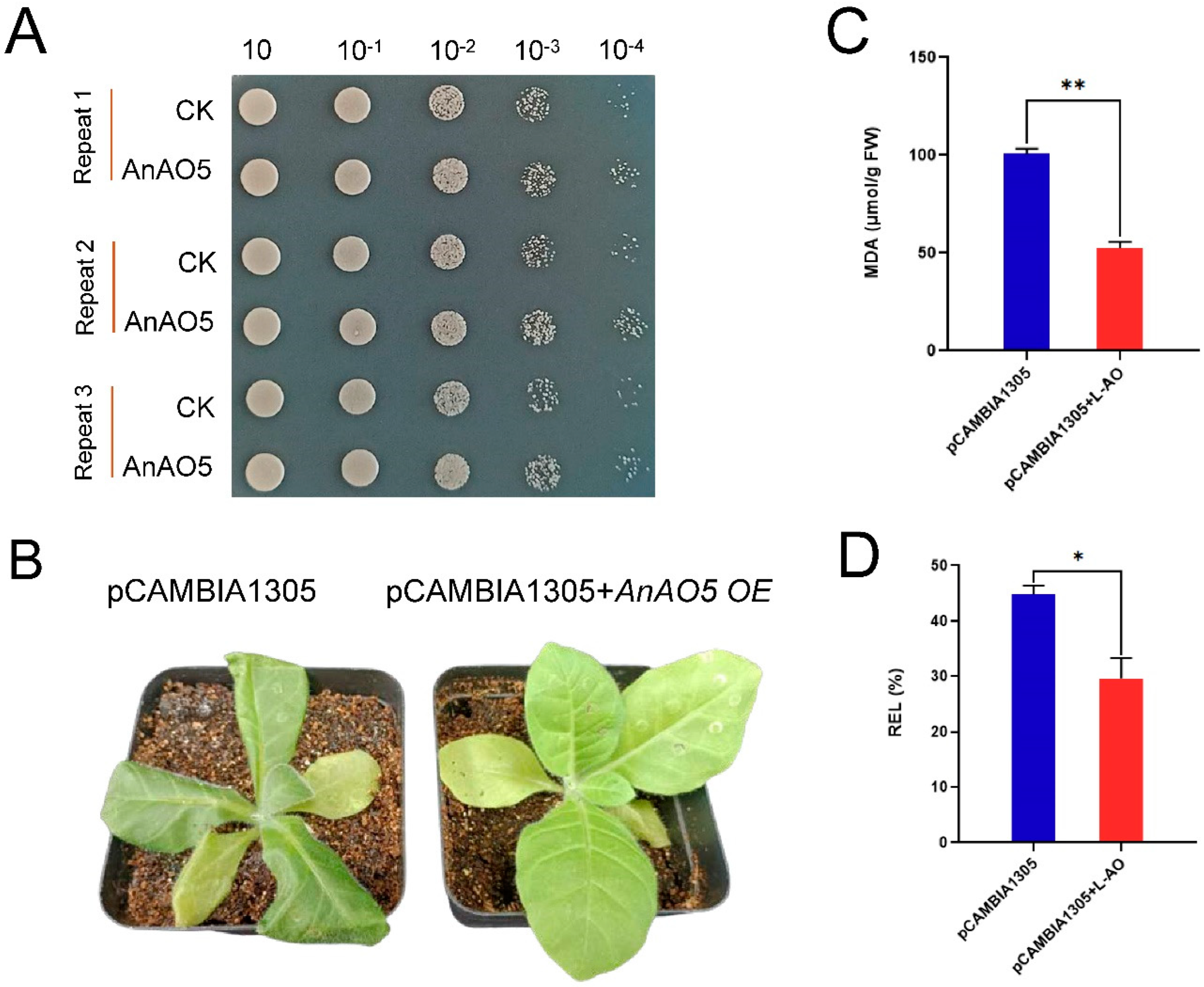 Plants 12 00677 g011