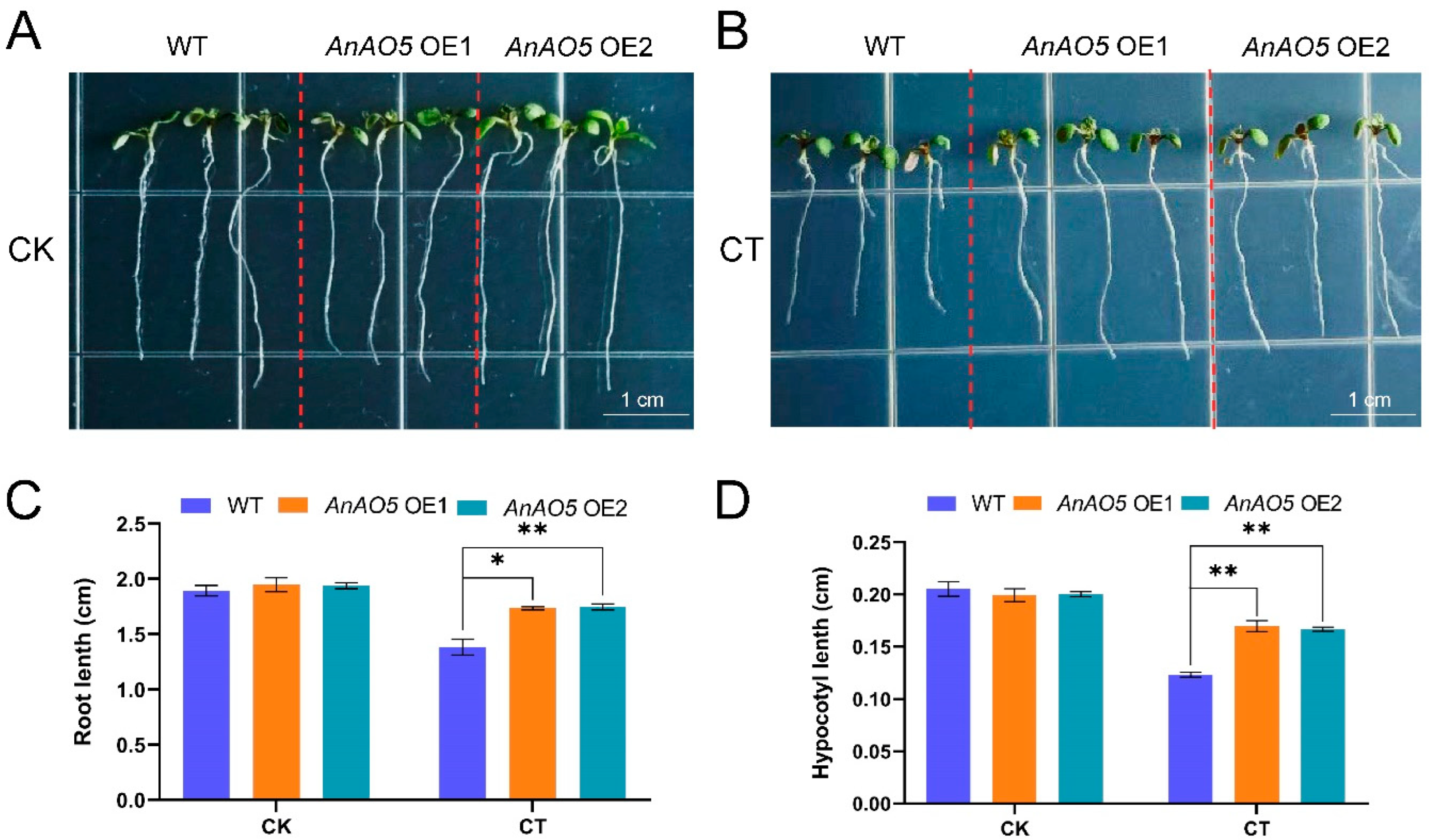 Plants 12 00677 g012