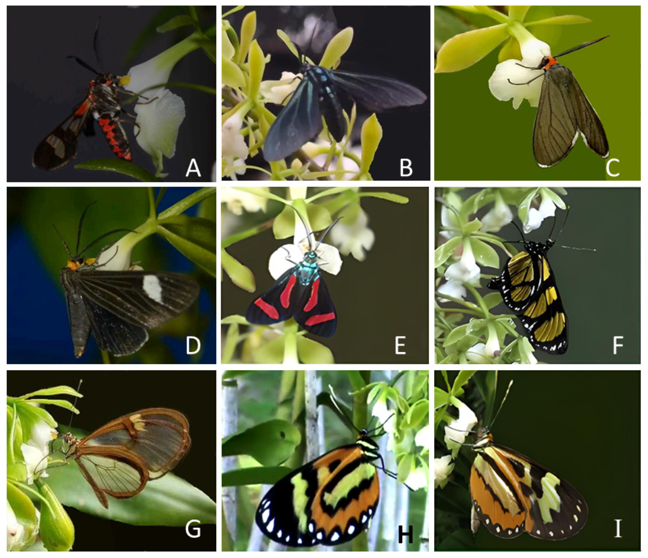 Plants 12 00679 g003