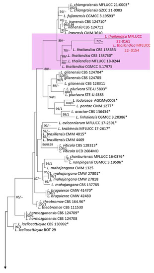 PDF) Micro-morphological characters in Polypodiaceae and its taxonomic significance