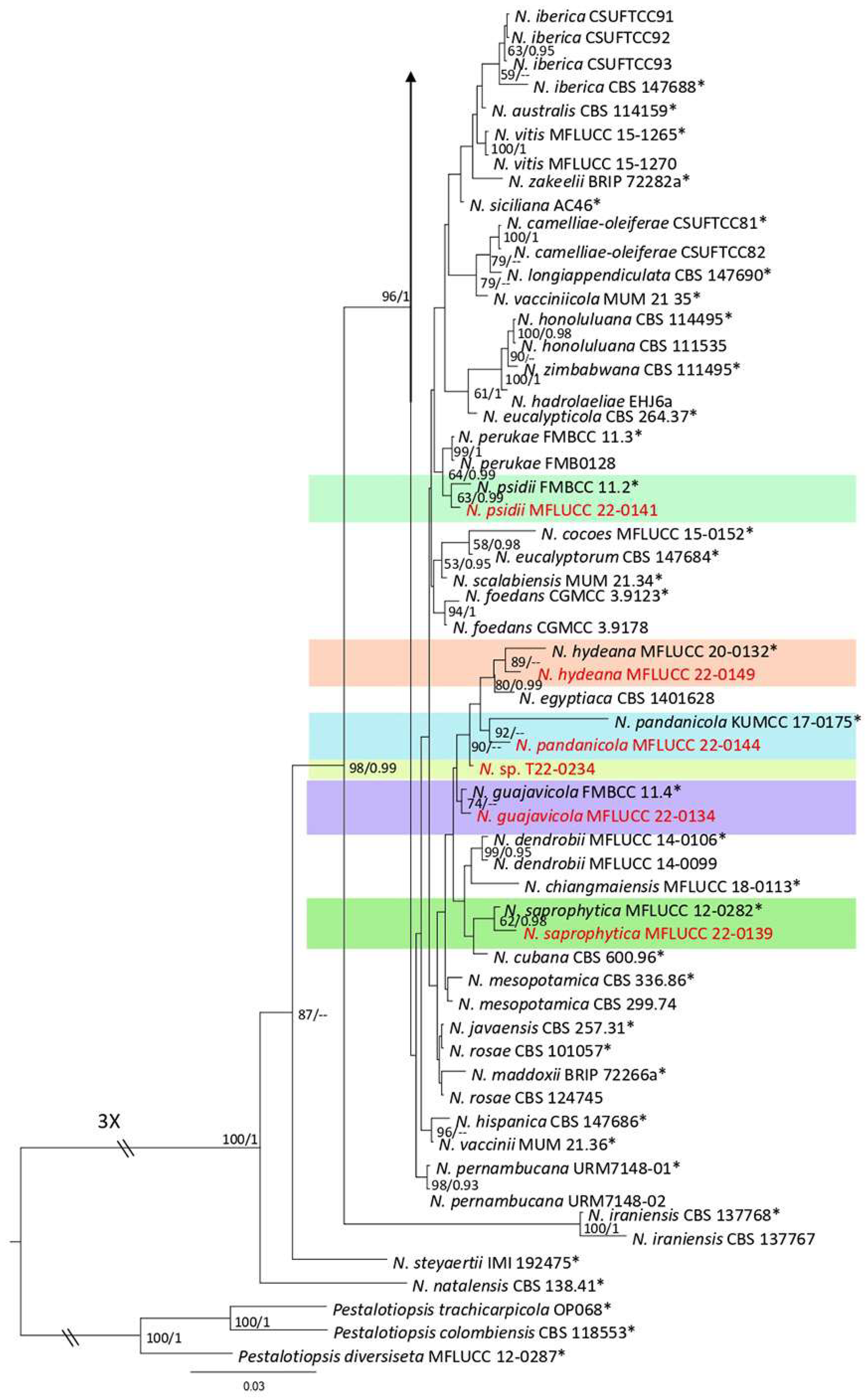 Plants 12 00683 g005b