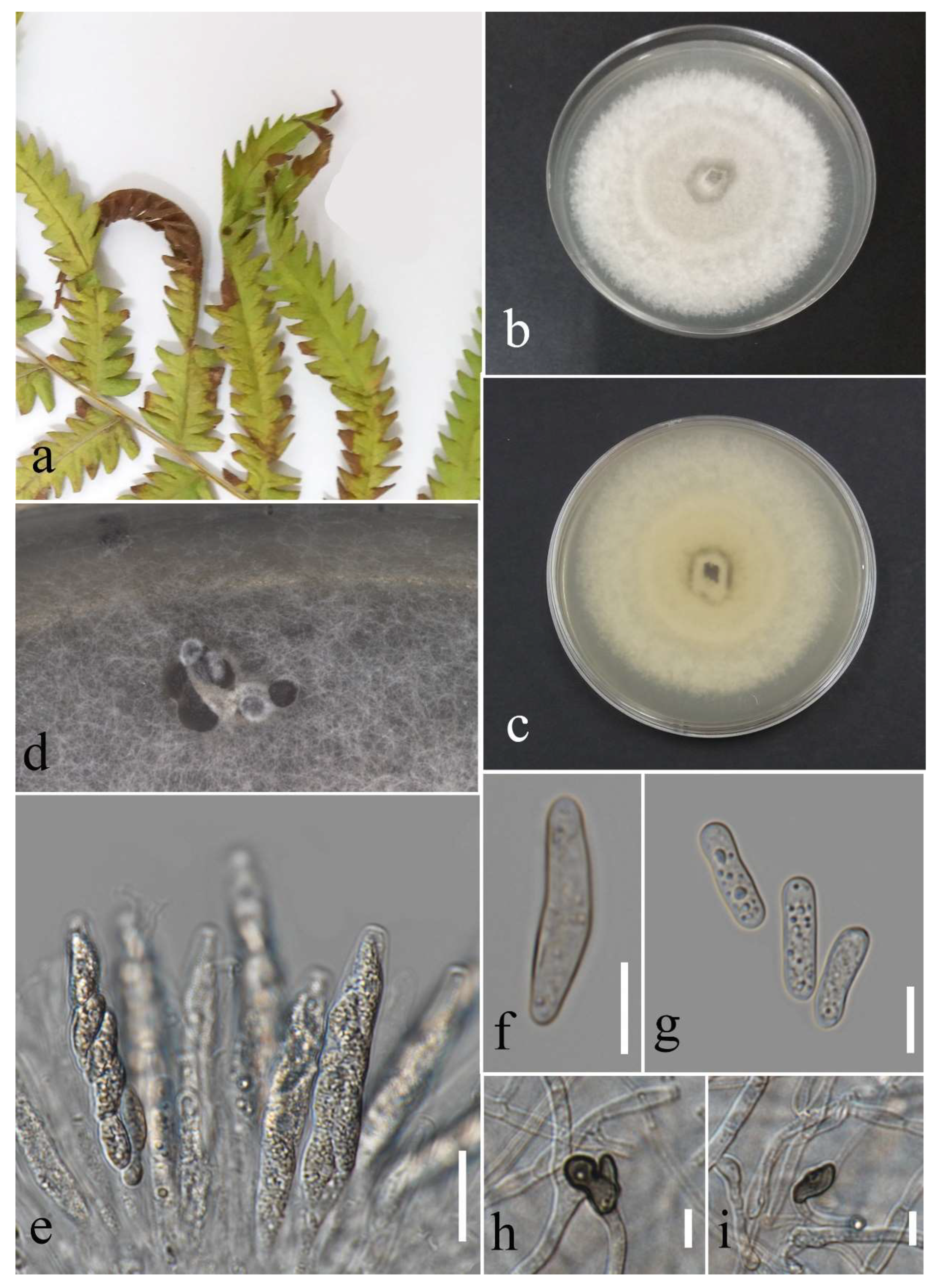 Plants 12 00683 g030