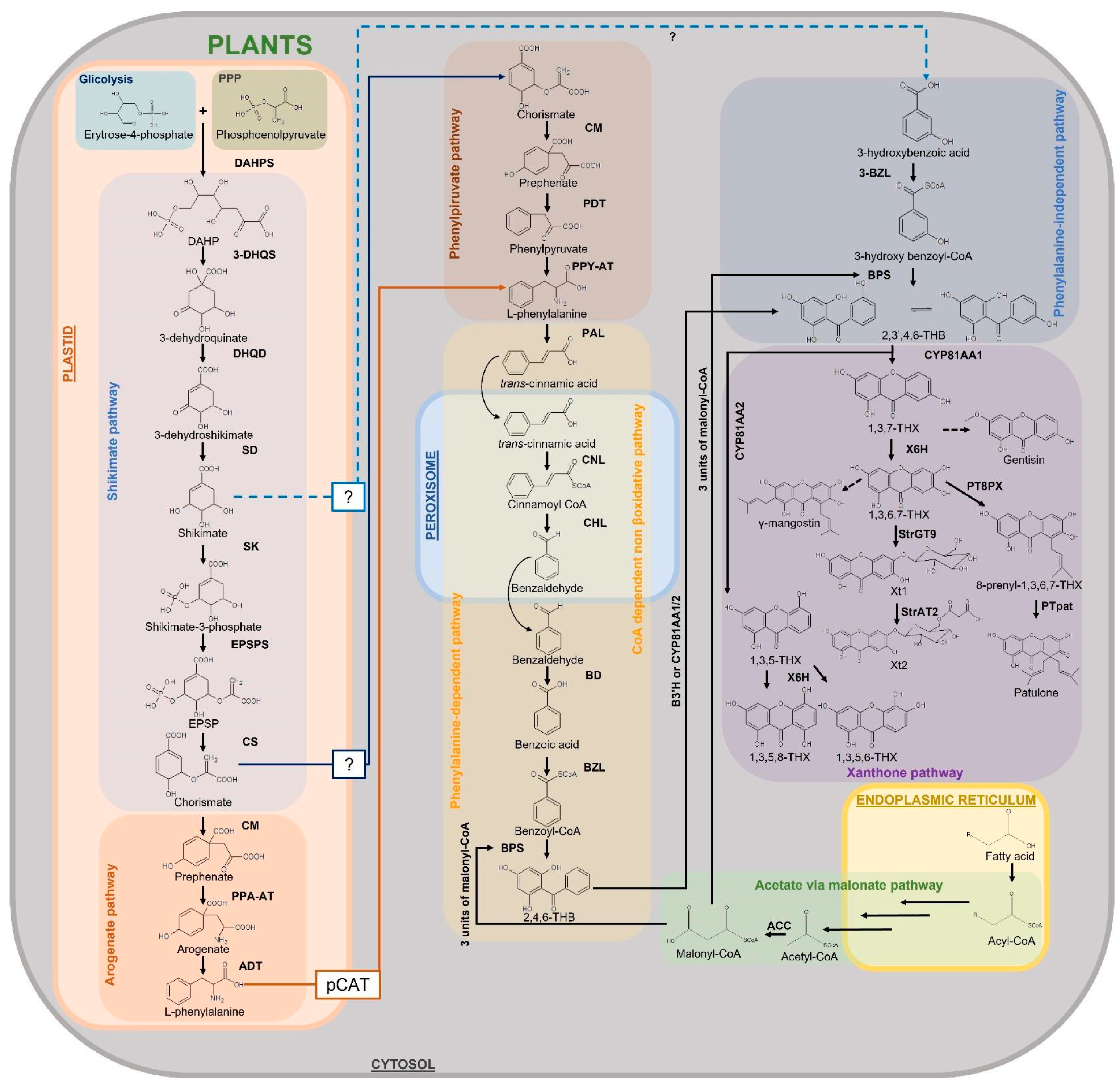 Plants 12 00694 g008 Plants 12 00694 g008