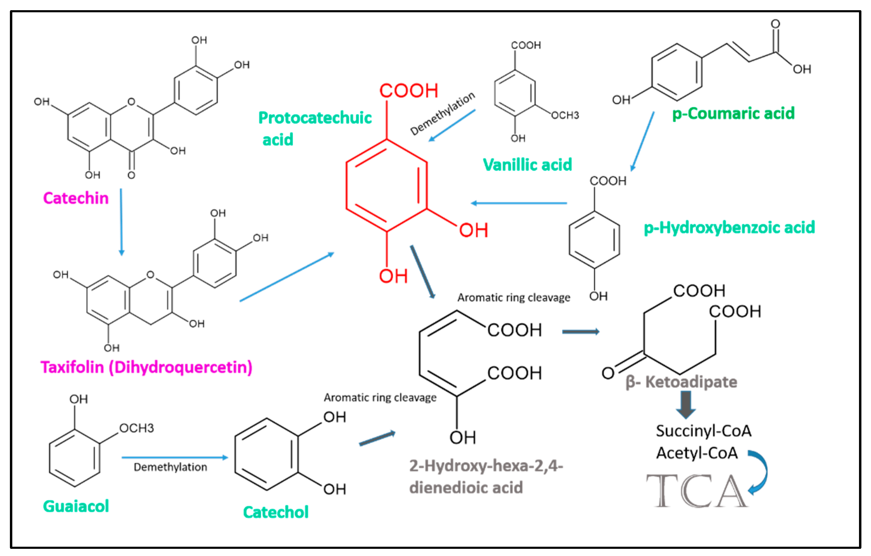 Plants 12 00700 g004