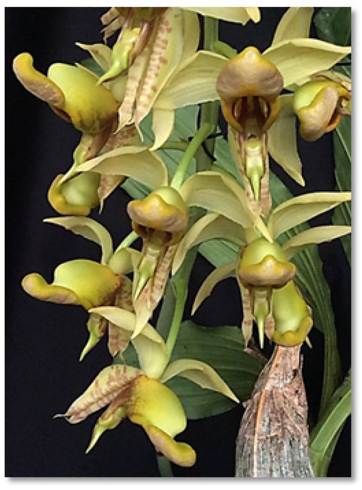 Plants 12 00703 g009