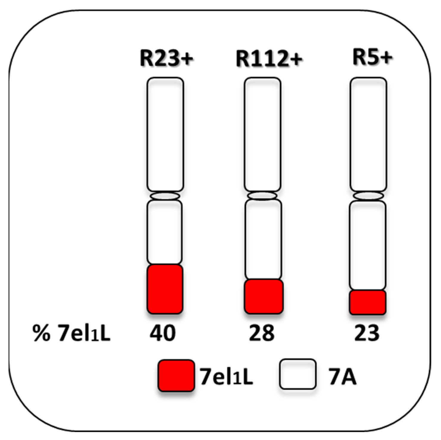 Plants 12 00704 g001 Plants 12 00704 g001