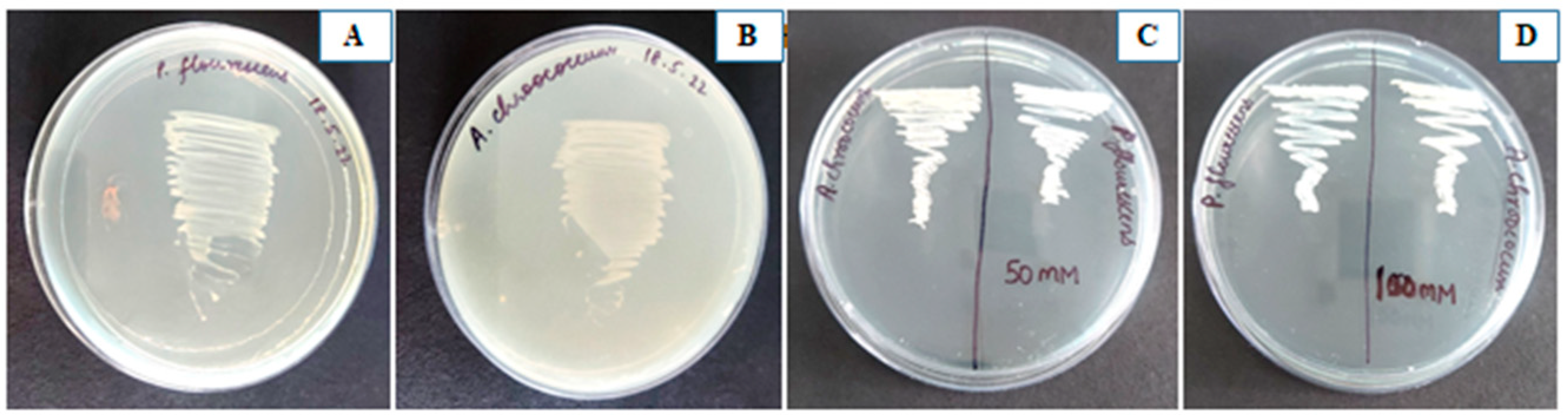 Plants 12 00705 g001